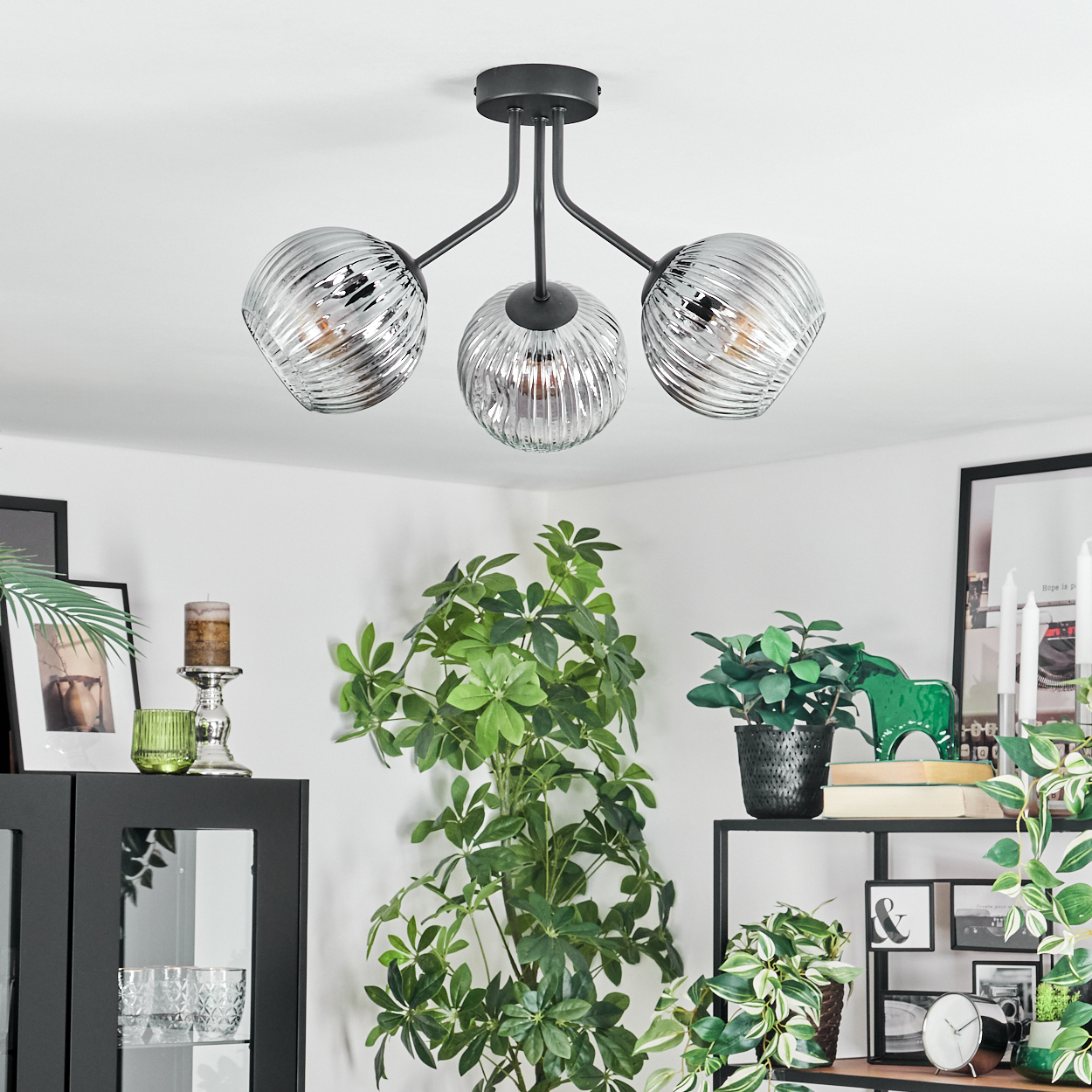 Eine moderne Deckenlampe mit drei Glaskugeln. Im Raum befinden sich verschiedene Pflanzen und Dekorationen, darunter ein schwarzes Regal und Schränke.