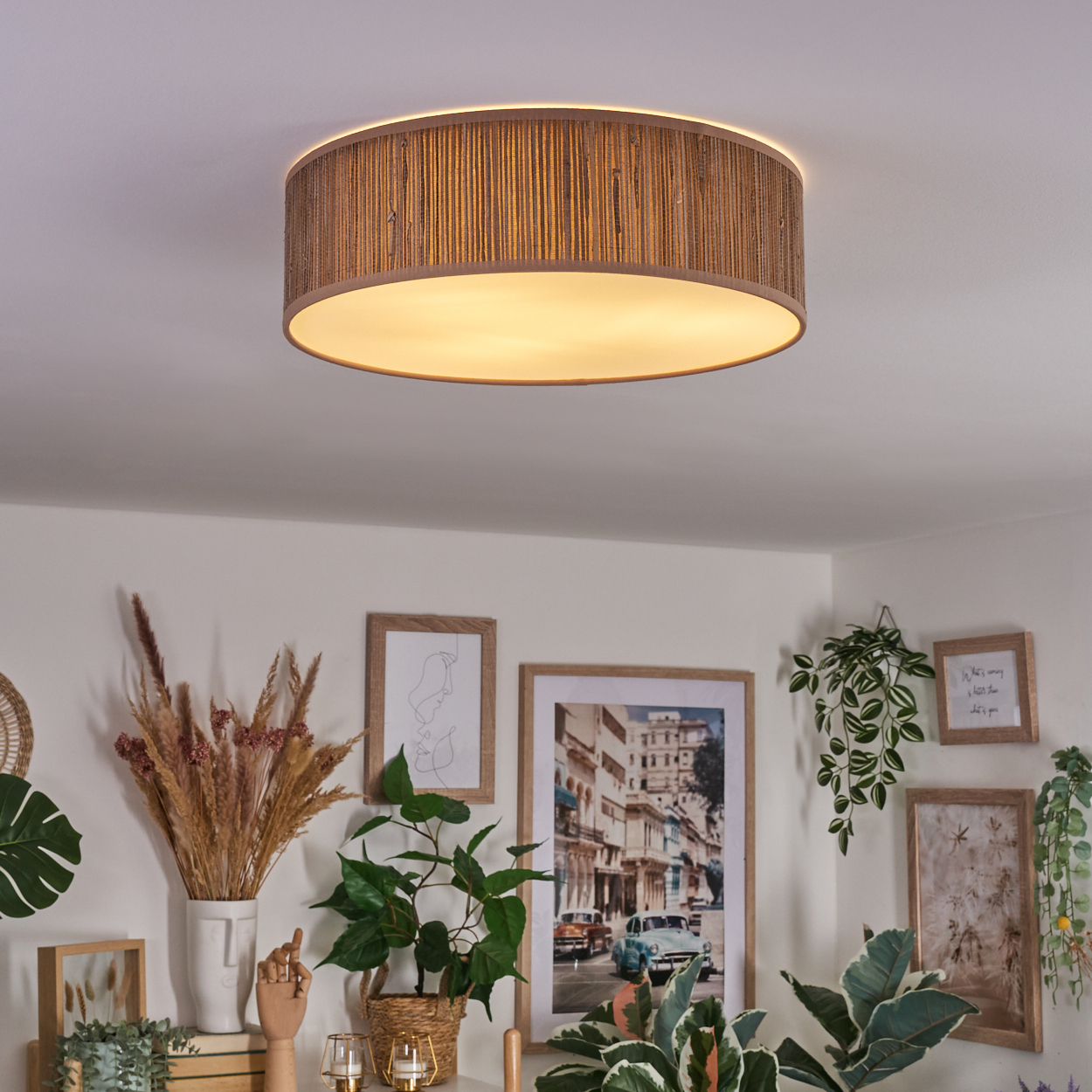 Eine runde, braune Deckenlampe beleuchtet einen Raum. Dekorative Pflanzen und gerahmte Bilder befinden sich an der weißen Wand darunter.