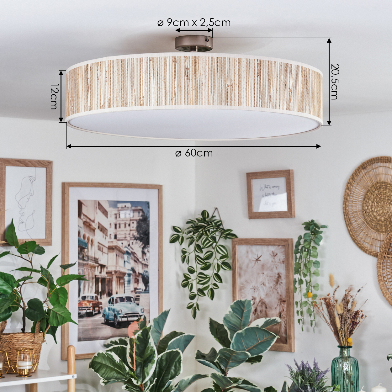 Eine dekorative Deckenlampe mit Maßen und ein Raum mit Bildern und Pflanzen.