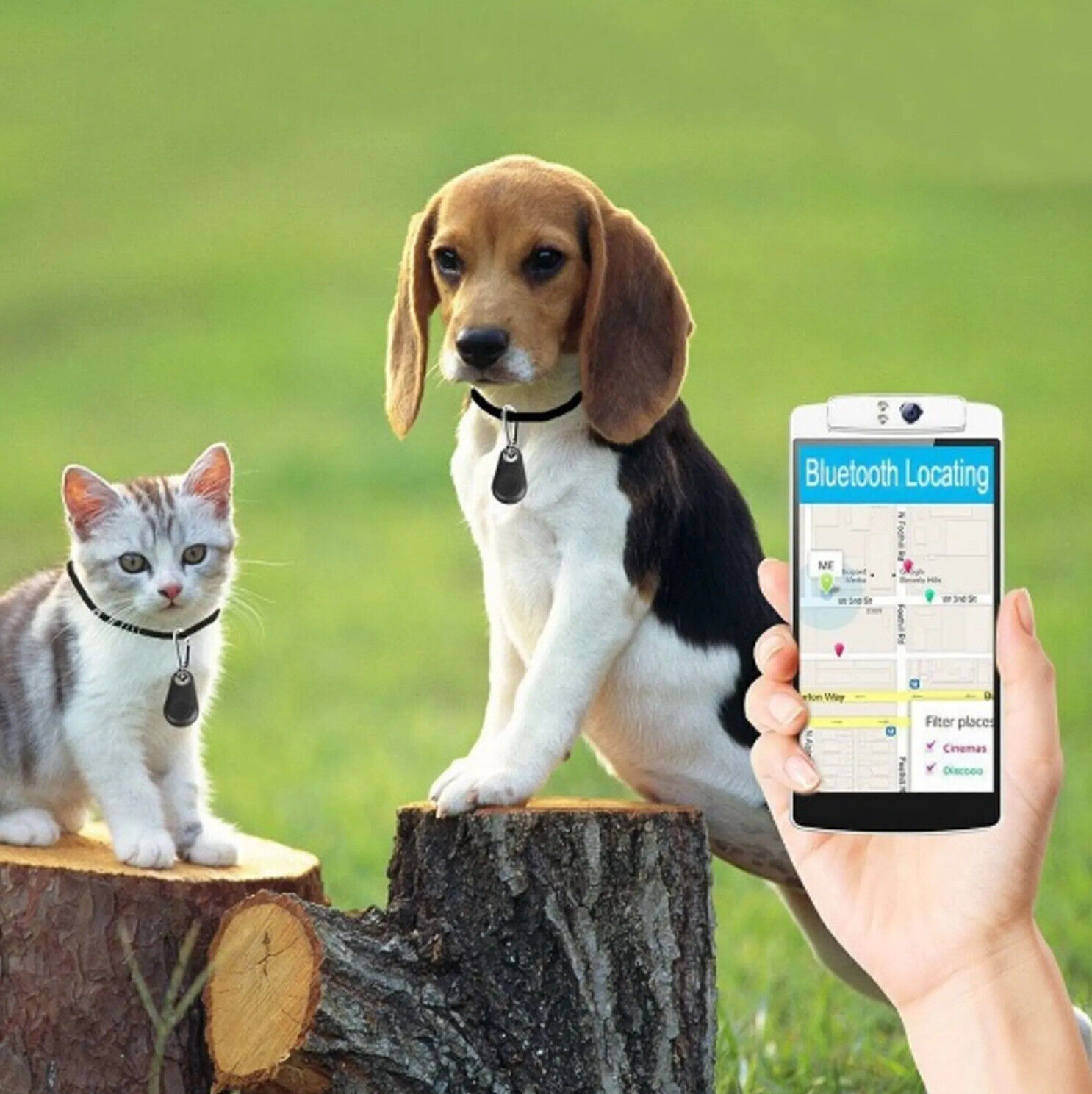 Ein Hund und eine Katze mit Ortungsmarken auf Baumstümpfen, ein Telefon zeigt eine Karte mit 'Bluetooth Locating'.