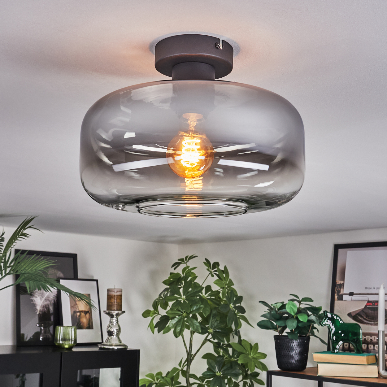 Eine moderne Deckenlampe mit Glasschirm und sichtbarer Glühbirne. Darunter ist ein Raum mit Pflanzen, Bildern und Möbeln zu sehen.