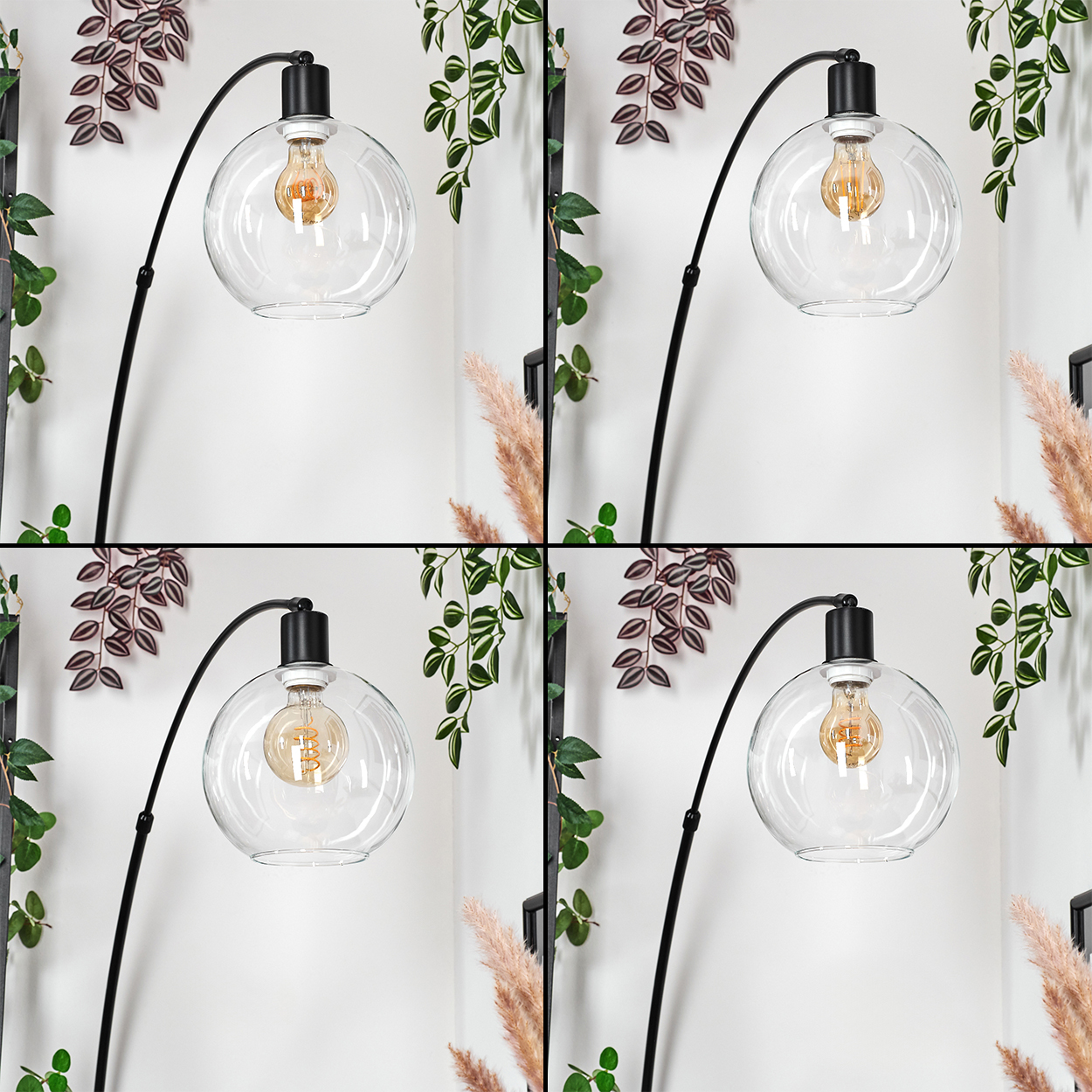 Eine moderne Lampe mit rundem Glasschirm und sichtbarer Glühbirne. Pflanzen und eine weiße Wand im Hintergrund.