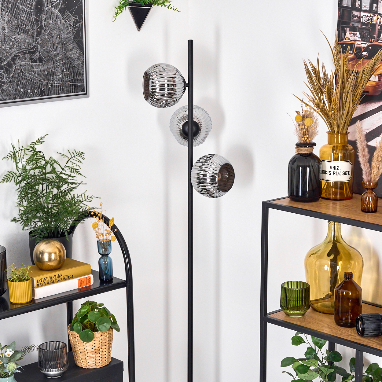 Ein Raum mit Regalen, Pflanzen und einer schwarzen Lampe mit Kugelleuchten. Eine Karte und Poster an den weißen Wänden.