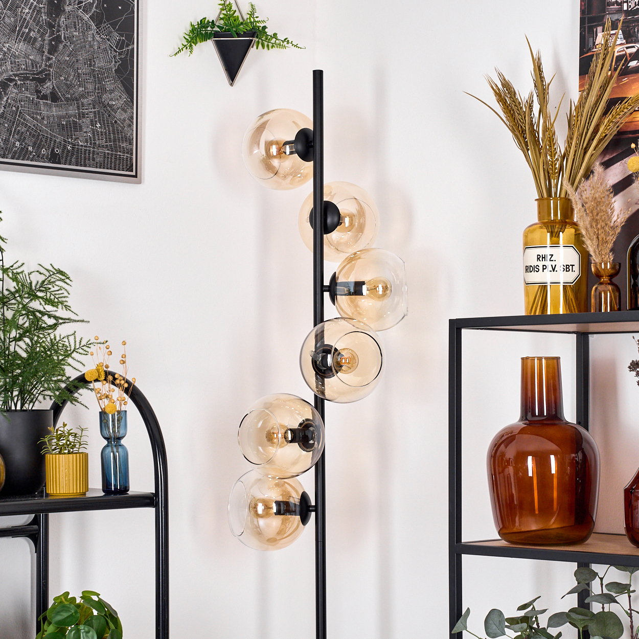 Moderne Stehlampe mit fünf Glaskugeln. Schwarzer Metallrahmen. Verschiedene Pflanzen und Dekorationsartikel auf Regalen und Wänden.