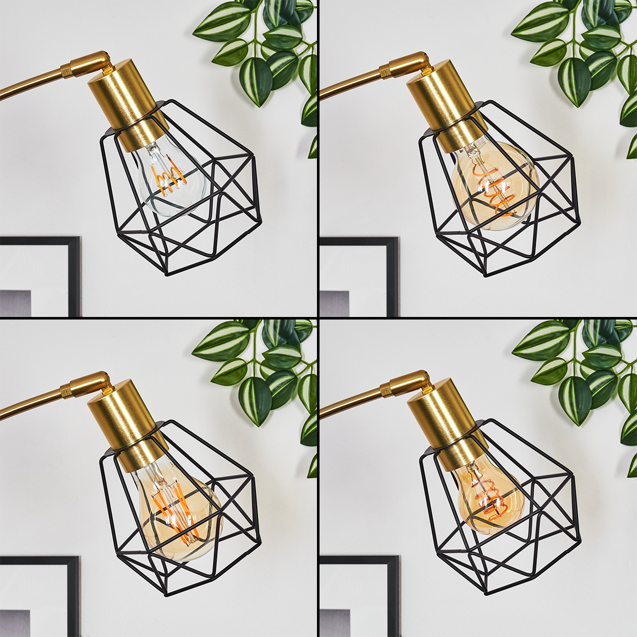 Nahaufnahme einer Lampe mit schwarzem Käfig um eine Glühbirne, goldenem Arm, mit grünen Pflanzen und einer weißen Wand im Hintergrund.