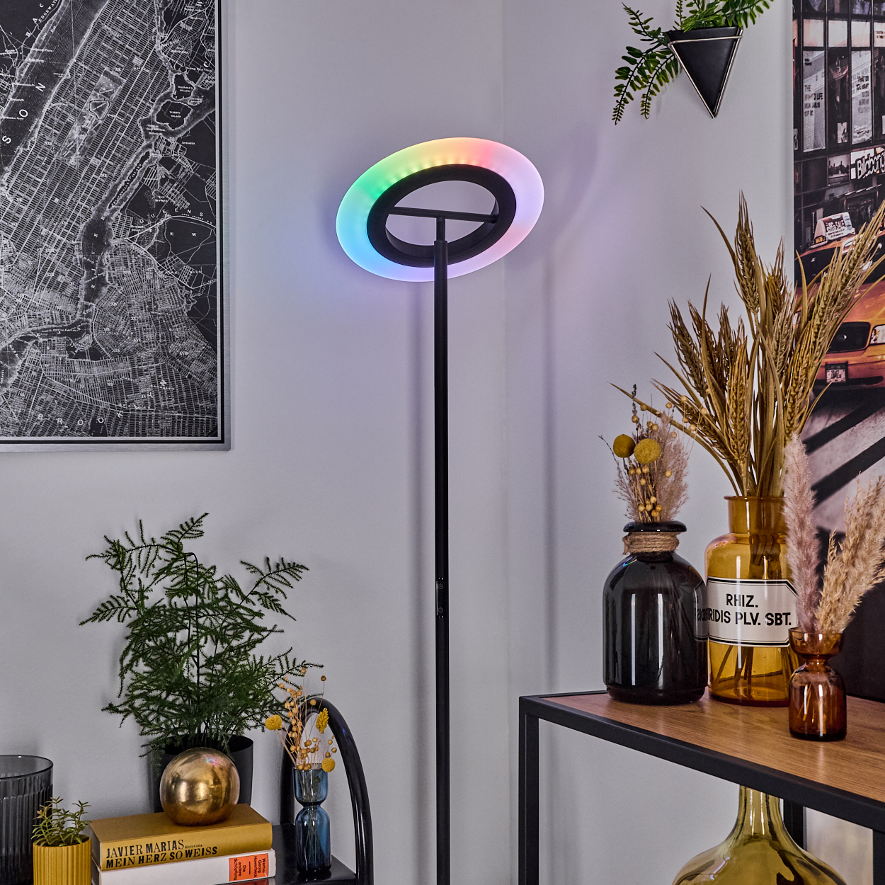 Eine moderne Stehlampe mit Ringlicht, farbiger Beleuchtung, steht in der Nähe eines Regals mit Vasen und Pflanzen, ein Kartenposter an der Wand.