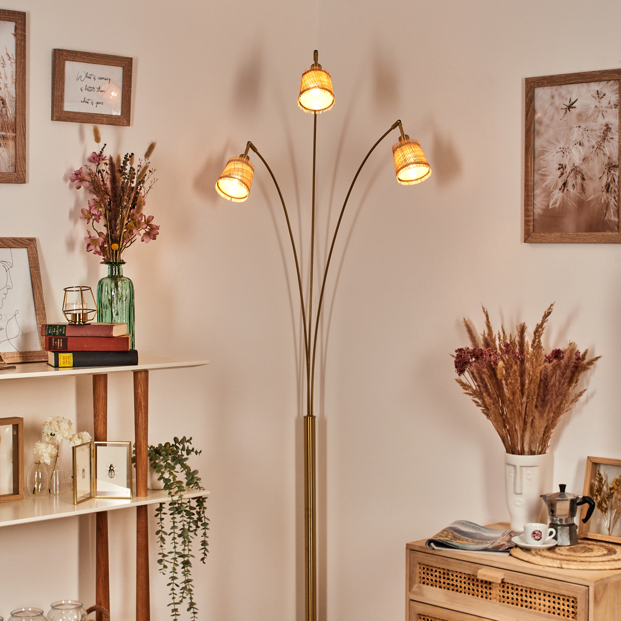 Ein Raum mit Stehlampe, Regalen mit Deko, gerahmten Bildern und einem gewebten Schrank. Blumen und Pflanzen.