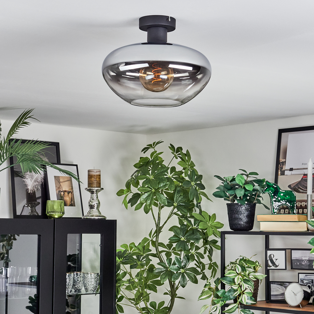 Eine moderne Deckenlampe mit Glasschirm über einem Raum mit Pflanzen, Bildern und einem Schrank. Der Raum ist gut beleuchtet.