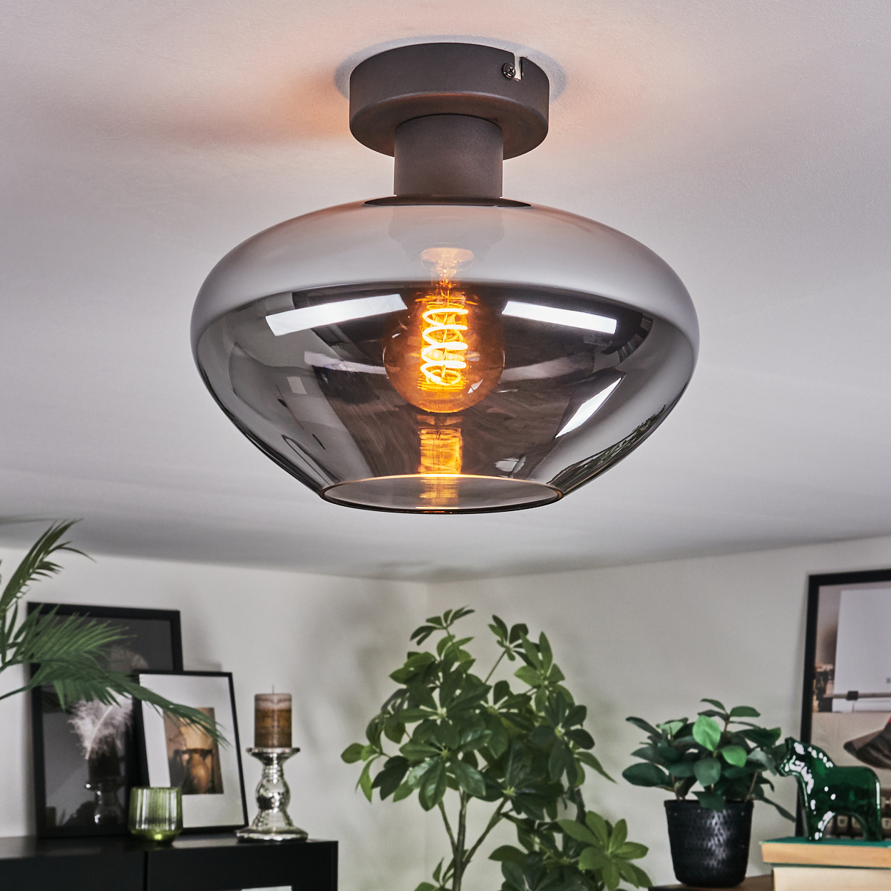 Eine moderne Deckenlampe mit Rauchglasschirm. Eine leuchtende Glühbirne ist sichtbar. Pflanzen und gerahmte Bilder sind im Hintergrund.