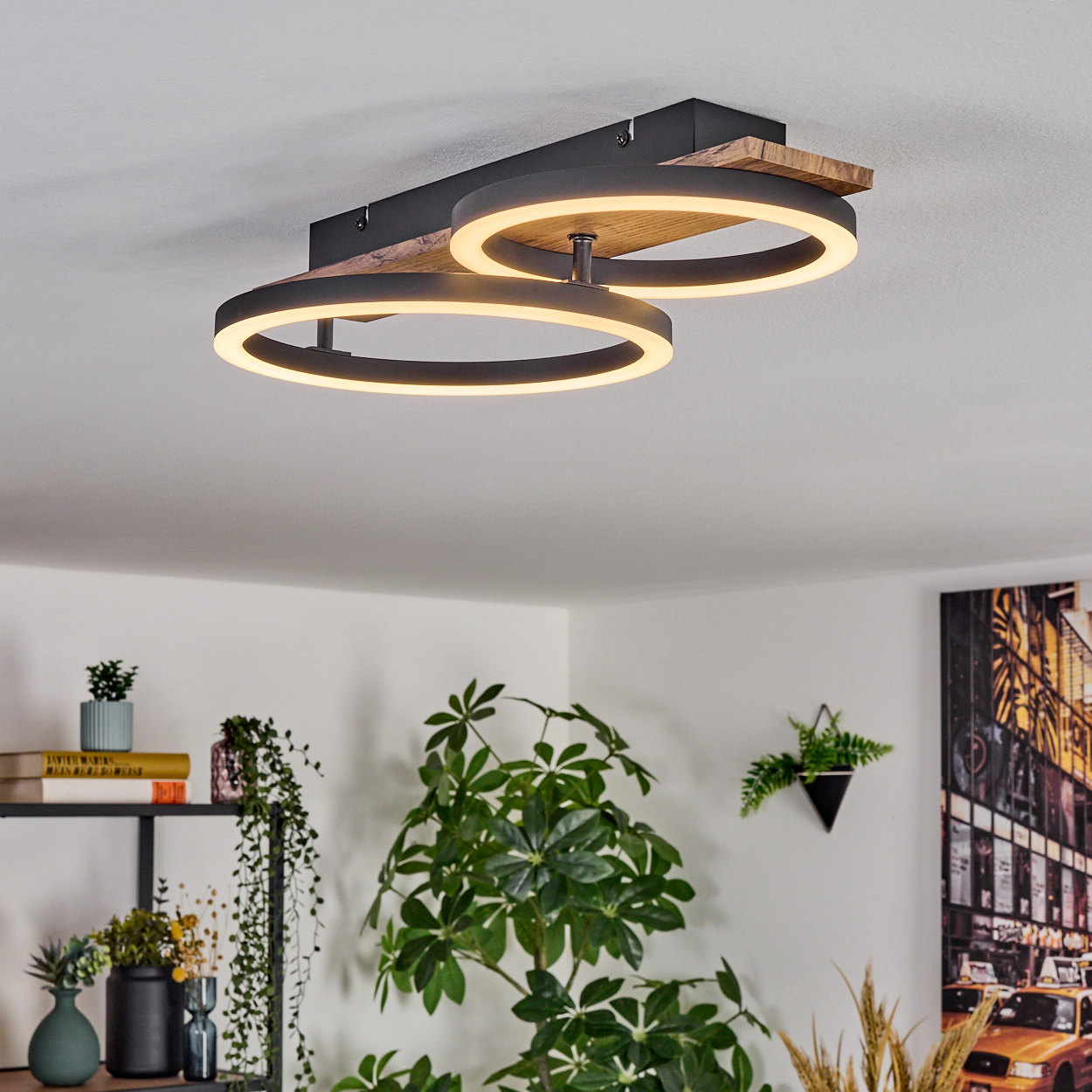 Eine moderne Deckenleuchte mit zwei leuchtenden Ringen. Darunter Pflanzen und ein Regal mit Büchern. Ein Gemälde rechts.