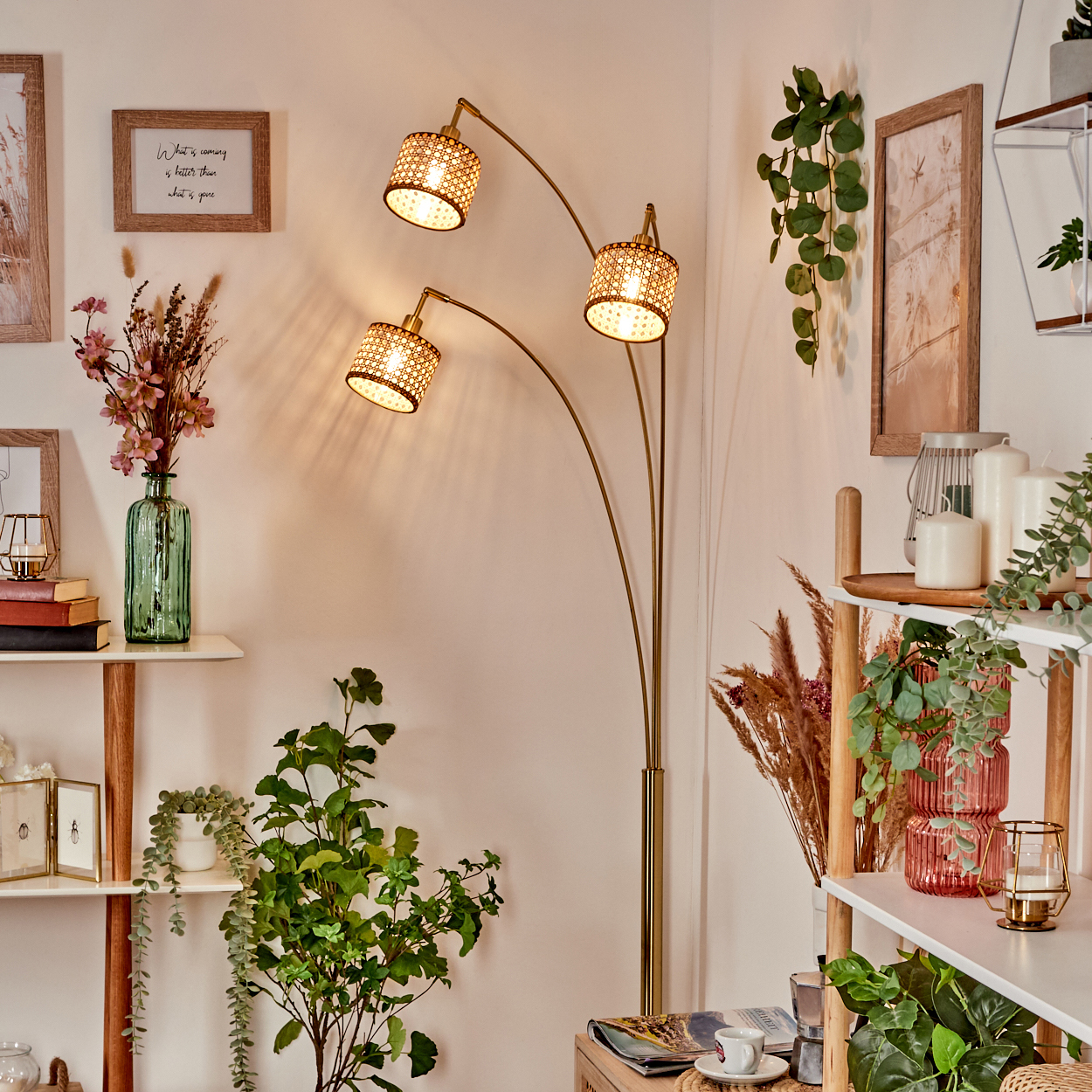 Ein Raum mit einer Stehlampe, Regalen mit Pflanzen und Dekoration. Ein gerahmtes Zitat und eine Glasvase mit Blumen sind sichtbar.