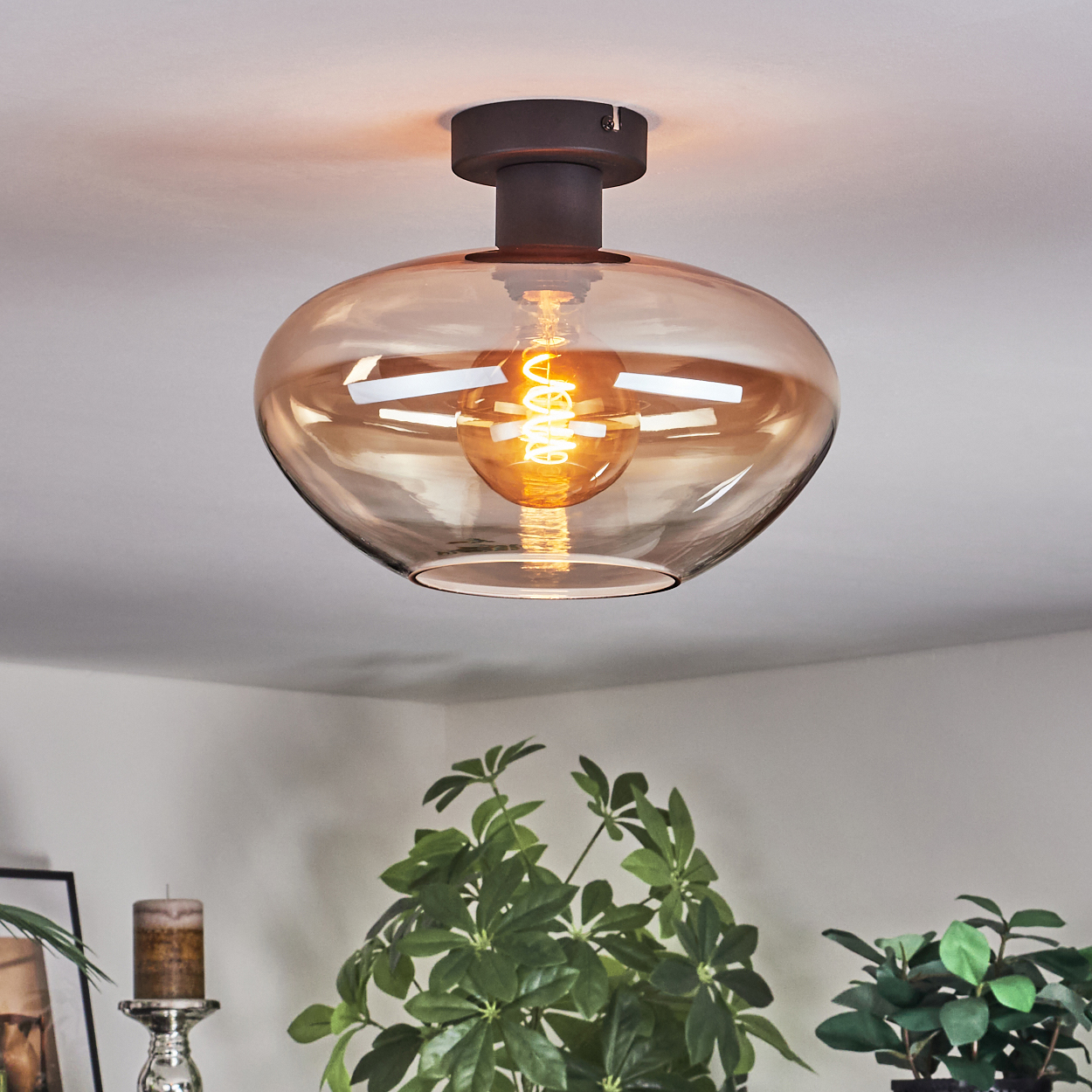 Eine moderne Deckenlampe mit einer warmen Glühbirne. Die Lampe hat einen braunen Sockel und einen Glasschirm. Grüne Pflanzen darunter.
