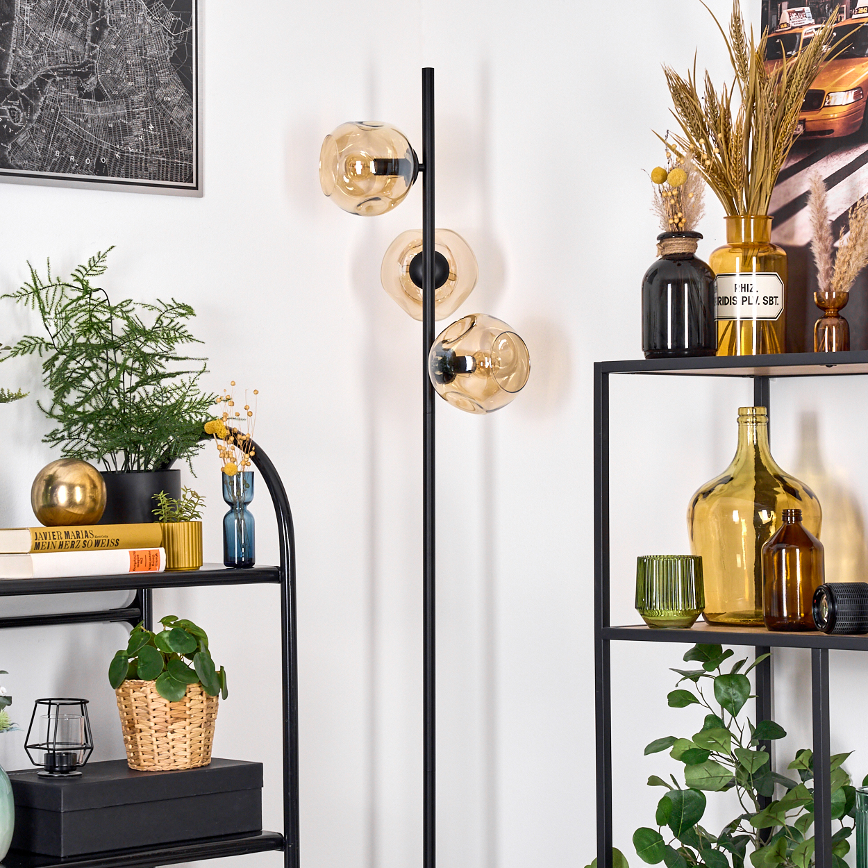 Ein Raum mit einem schwarzen Metallregal und einer Lampe. Pflanzen, Vasen und Bücher sind auf den Regalen angeordnet. Eine Karte hängt an der Wand.