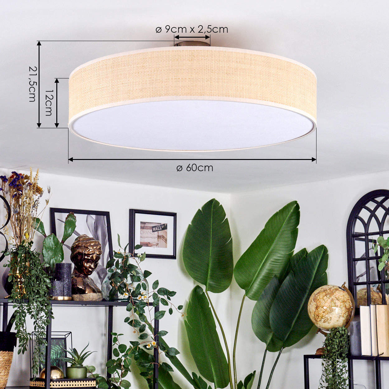 Eine beige-weiße Deckenlampe befindet sich über Pflanzen und Bildern. Schwarze Regale halten Pflanzen und Dekorationen. Globus und Bücher sind sichtbar.