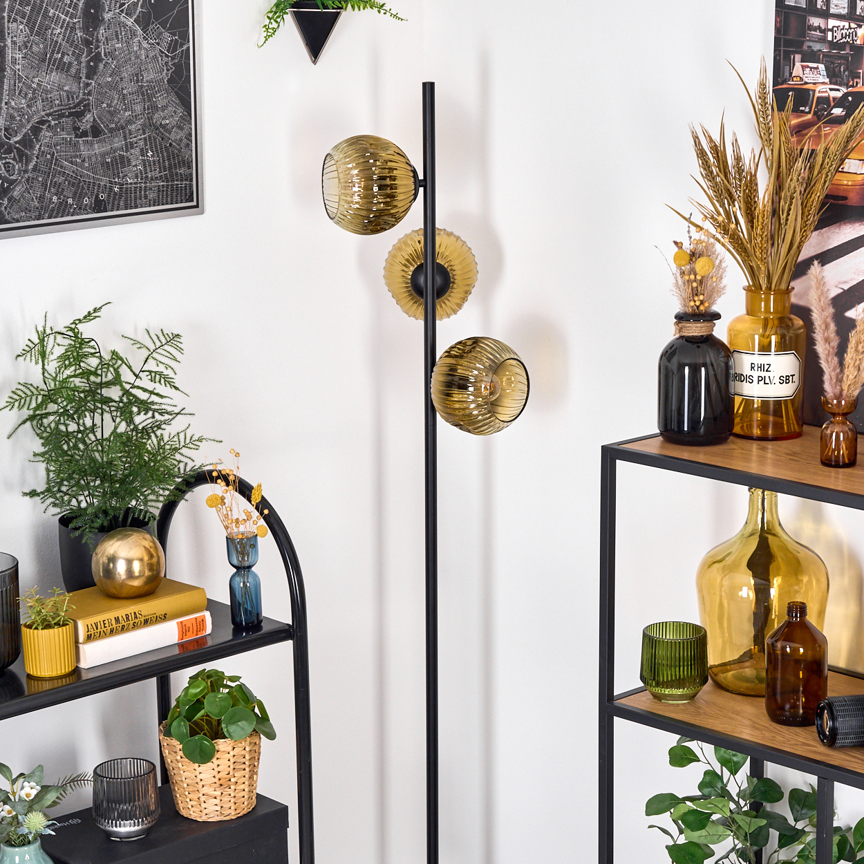 Ein Raum mit Regalen, einer Lampe mit Glaskugeln, Pflanzen und dekorativen Gegenständen. Der Hintergrund ist eine weiße Wand. Schwarze Metallregale.