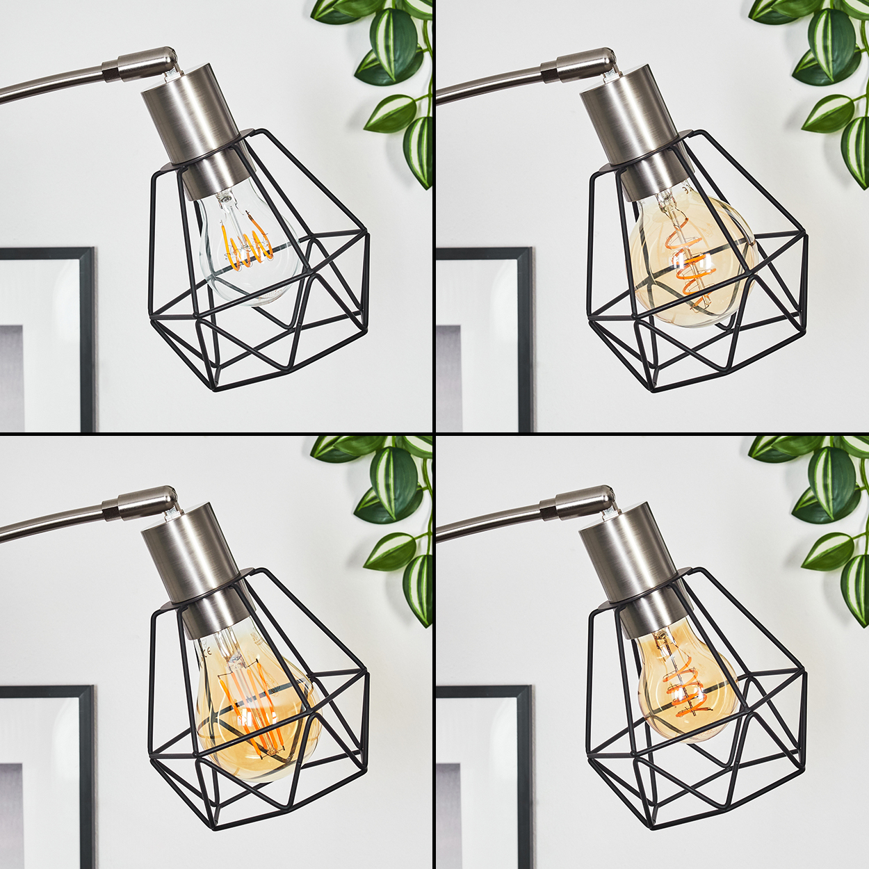 Eine moderne Lampe mit schwarzem Käfigschirm und leuchtender Glühbirne. Grüne Pflanzen und Bilderrahmen im Hintergrund.