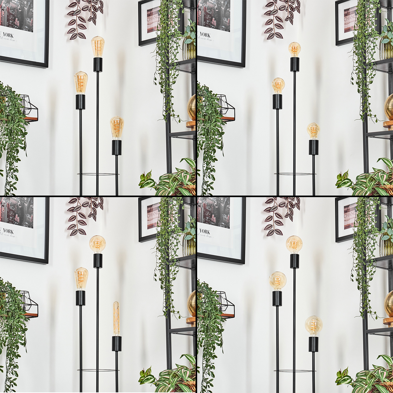 Schwarze Lampen mit glühenden Birnen stehen vor einer weißen Wand. Regale mit Pflanzen, Bildern und hängenden Ranken sind sichtbar.