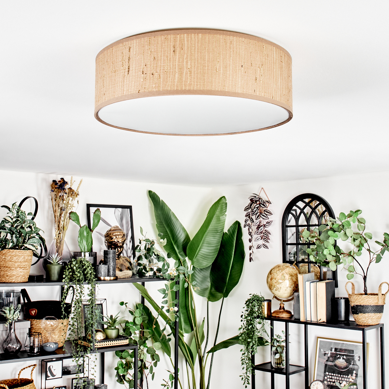 Ein Raum mit Regalen voller Pflanzen und Dekoration. Ein großer, gewebter Lampenschirm hängt von der Decke. Ein Spiegel und ein Globus sind zu sehen.