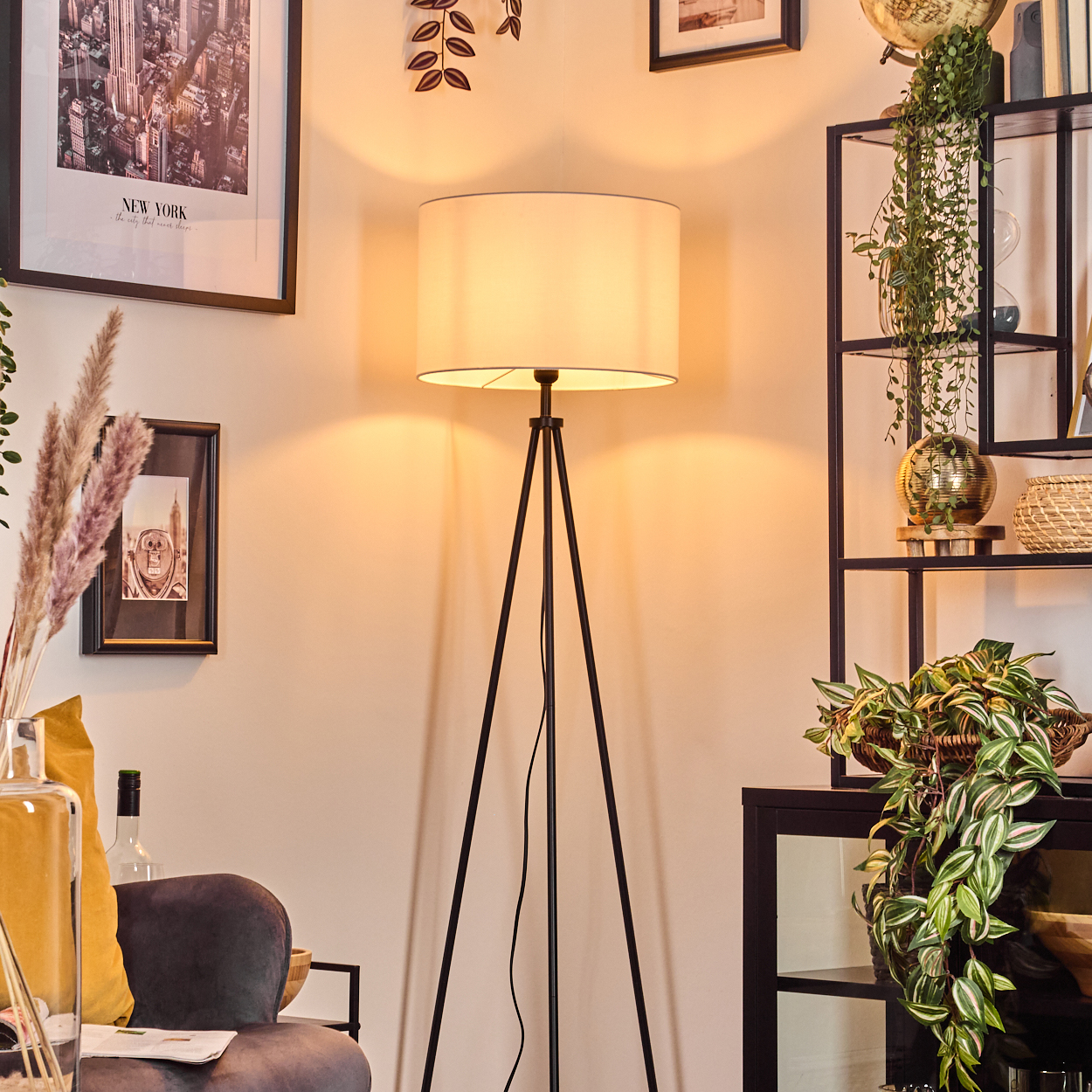 Ein Raum mit Stehlampe, Regal mit Pflanzen, gerahmten Bildern und Couch. Die Lampe hat einen weißen Lampenschirm.