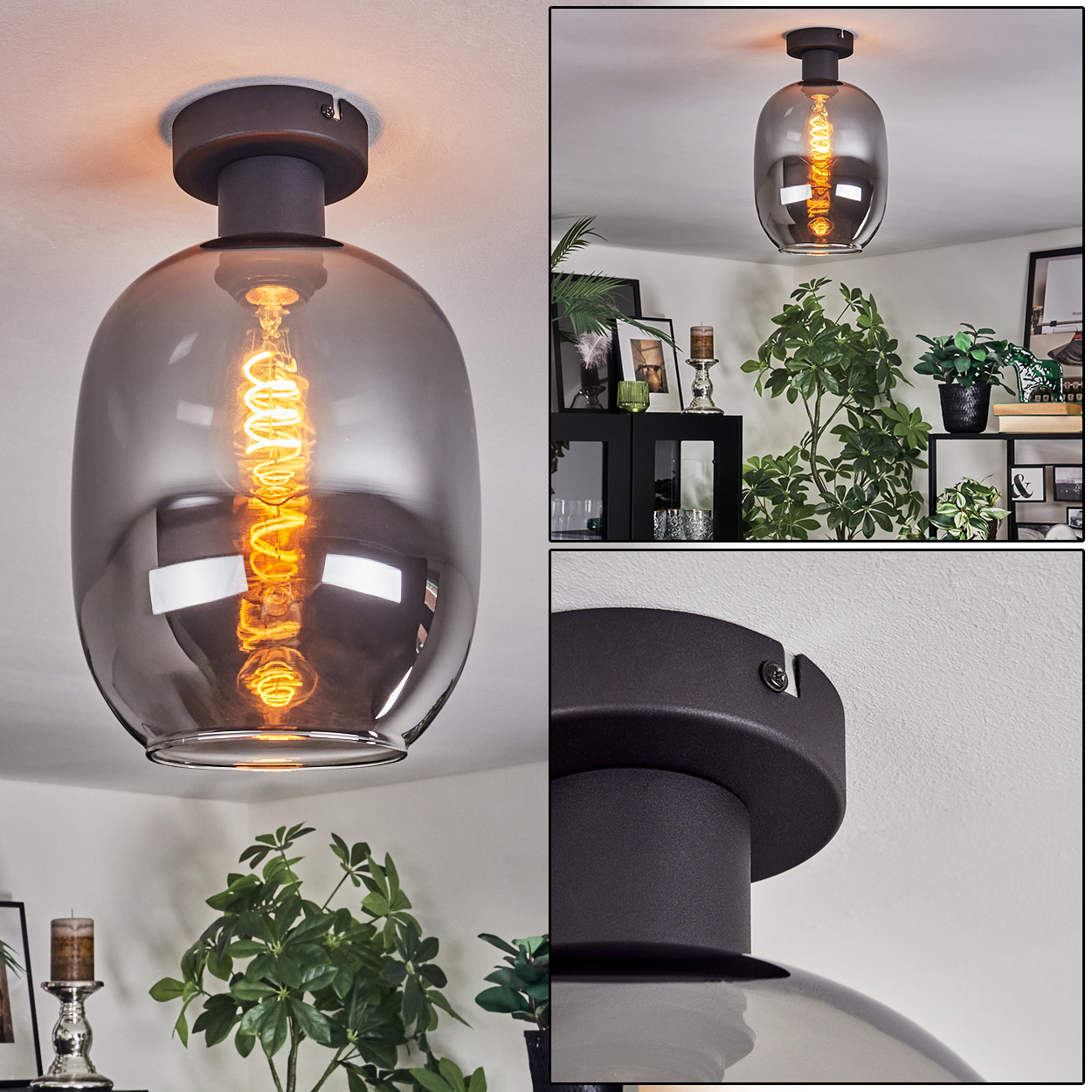 Eine moderne Deckenlampe mit rauchfarbenem Glasschirm und sichtbarer Glühbirne. Im Hintergrund sind Pflanzen und Möbel zu sehen.