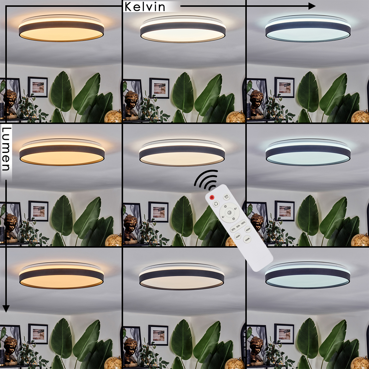 Eine Deckenleuchte wird in verschiedenen Lichteinstellungen gezeigt, gesteuert durch eine Fernbedienung. Der Hintergrund zeigt Pflanzen, Bilder und Statuen.
