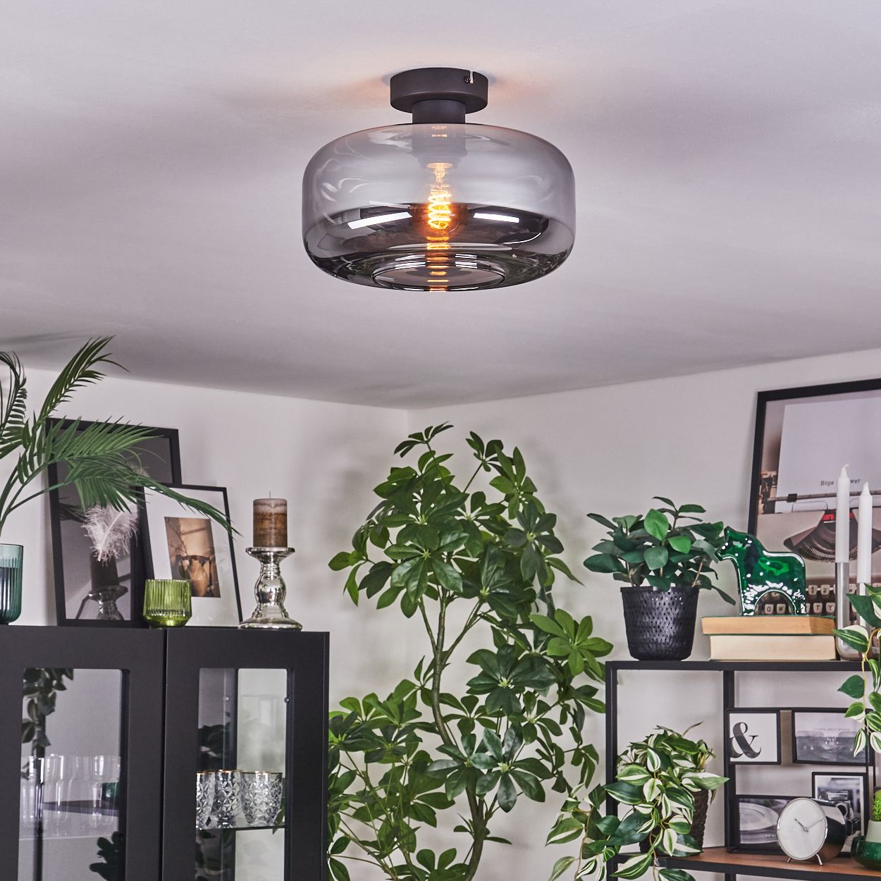 Ein moderner Raum mit Deckenleuchte, Pflanzen, Bildern und Schrank. Das Licht hat einen grauen Glasschirm mit sichtbarer Glühbirne.
