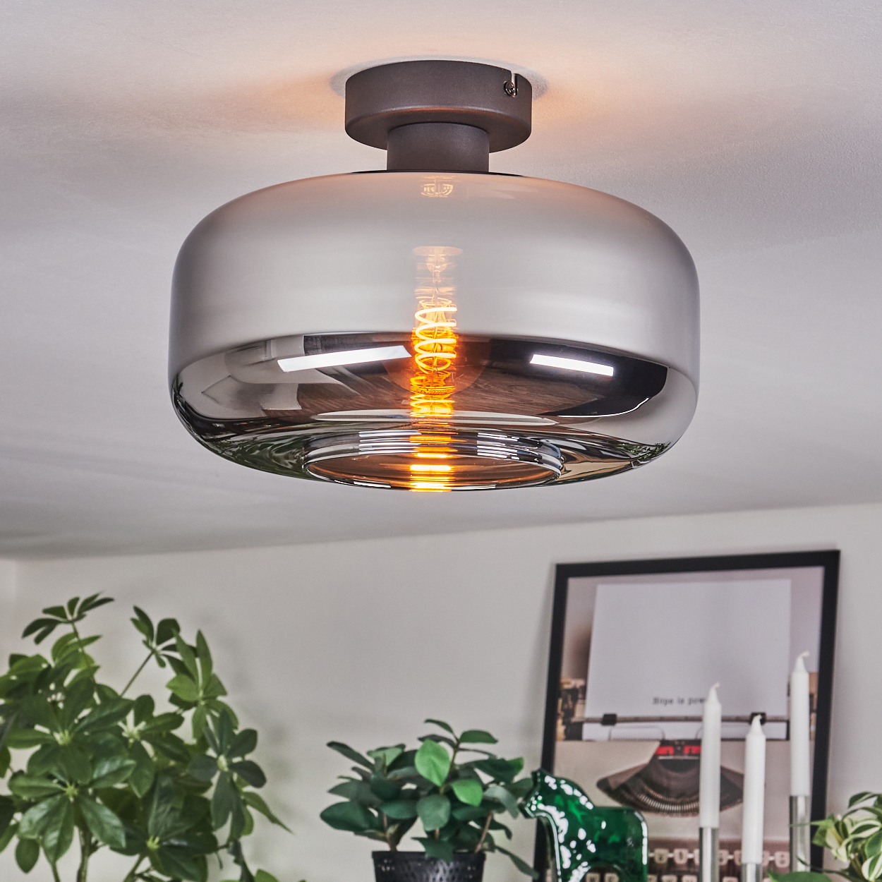 Eine moderne Deckenleuchte mit rauchfarbenem Glasschirm. Eine Edison-Glühbirne leuchtet darin, darunter sind Pflanzen und ein gerahmtes Bild zu sehen.