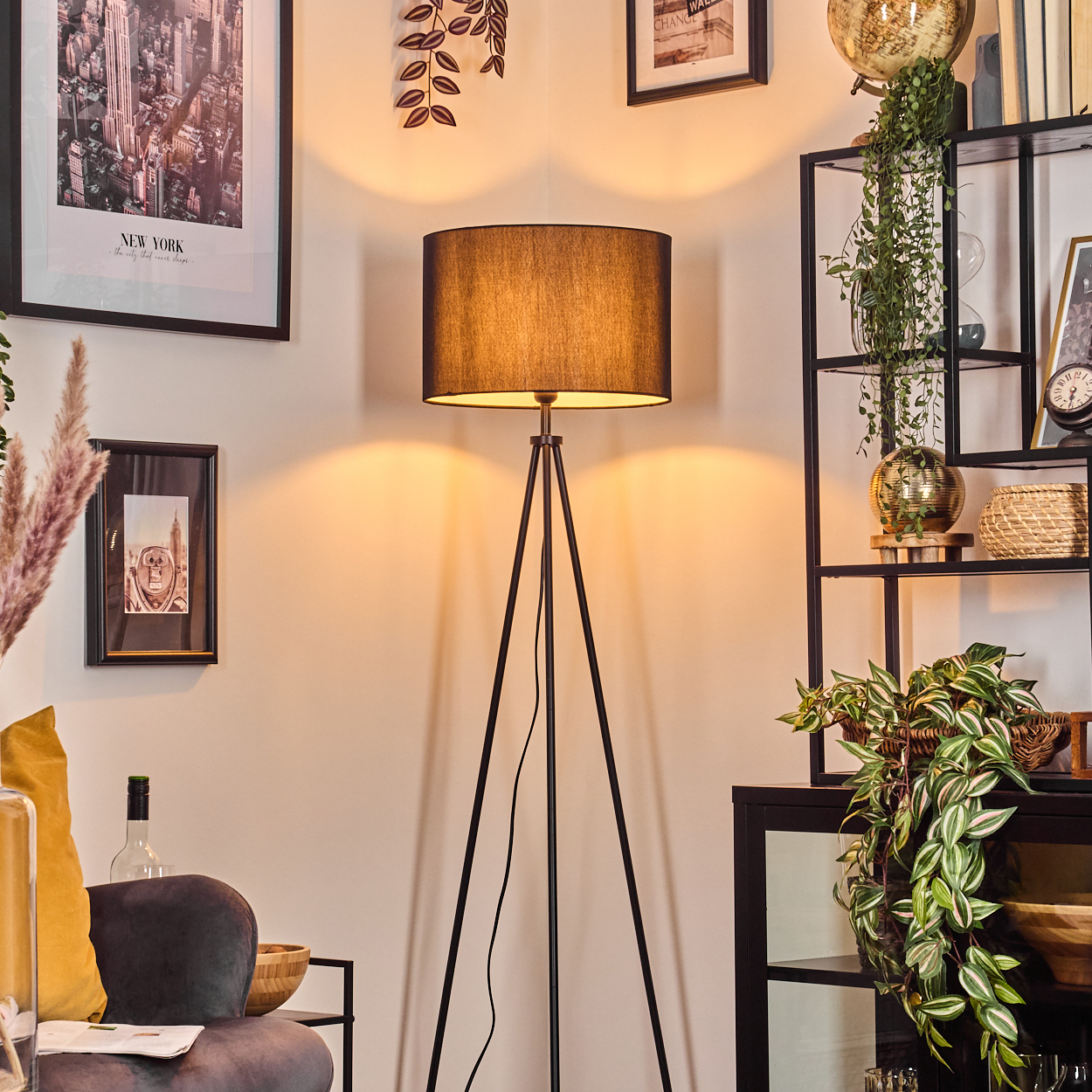 Ein Raum mit einer schwarzen Stehlampe, Regalen mit Dekoration und gerahmten Bildern an einer beigen Wand. Pflanzen und ein Sofa sind sichtbar.