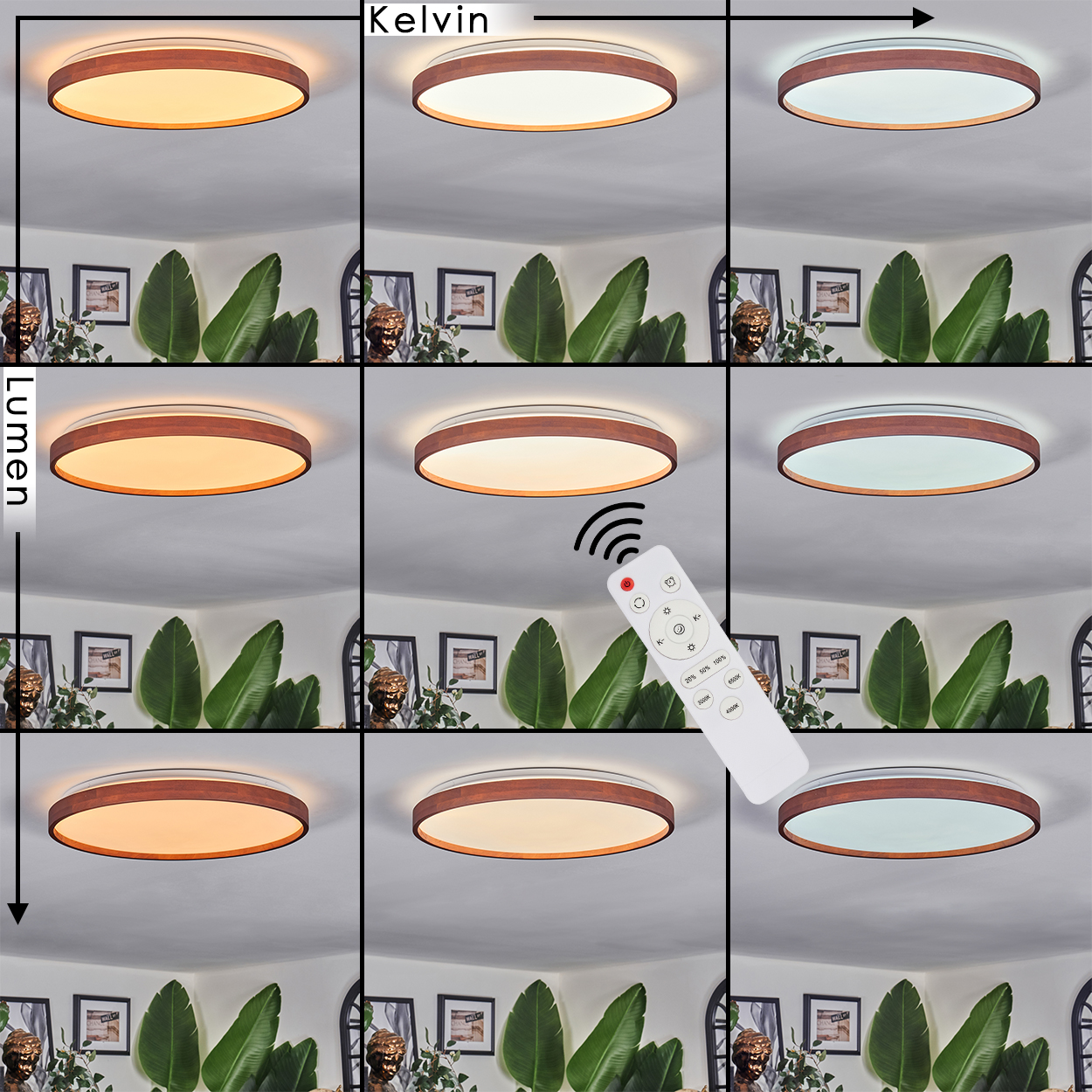 Das Bild zeigt eine Deckenlampe mit verschiedenen Lichteinstellungen, die über eine Fernbedienung gesteuert wird. Die Lampe befindet sich über einem Raum mit Pflanzen und Bildern.