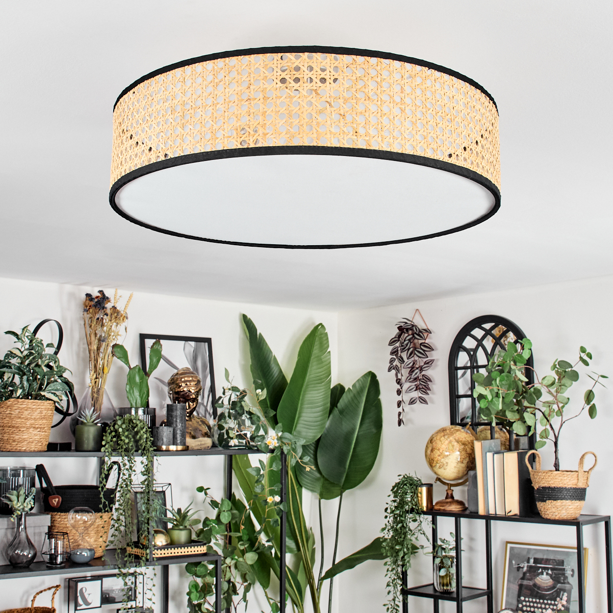Ein Raum mit Pflanzen auf Regalen und einer großen Leuchte. Das Licht ist oval mit einem gewebten, beigefarbenen Muster an den Seiten.