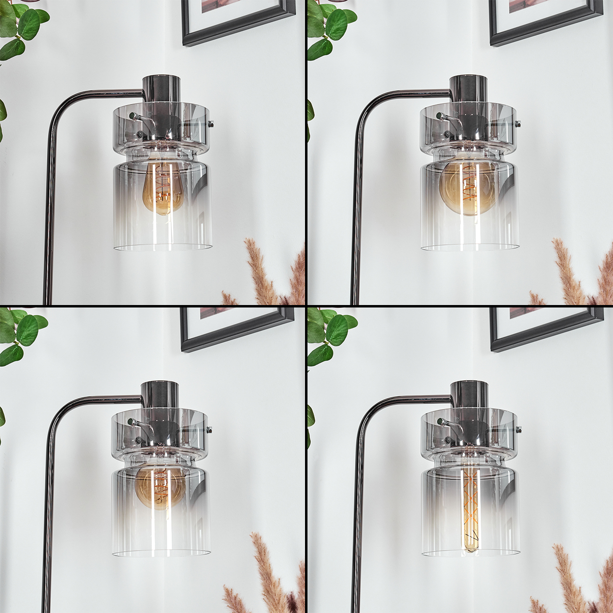 Eine moderne Lampe mit Glasschirm und sichtbarer Glühbirne vor einer weißen Wand mit gerahmten Bildern und Pflanzen.