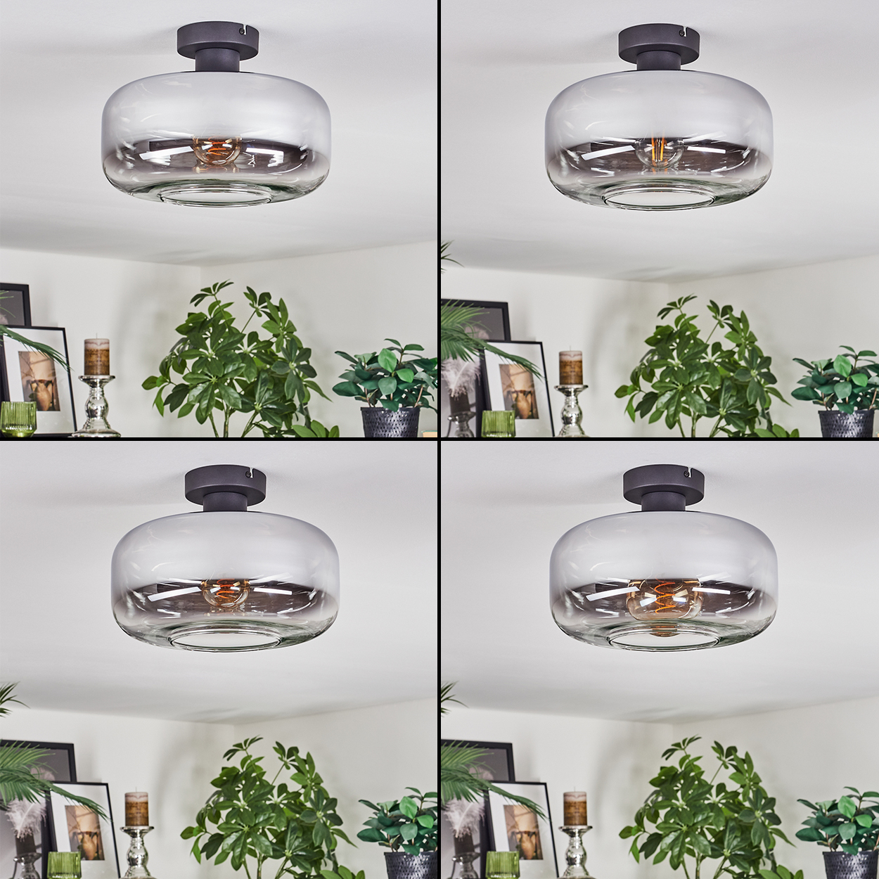 Eine moderne Deckenlampe mit rauchfarbenem Glasschirm. Darunter sind Pflanzen und gerahmte Bilder zu sehen, die eine gemütliche Inneneinrichtung schaffen.
