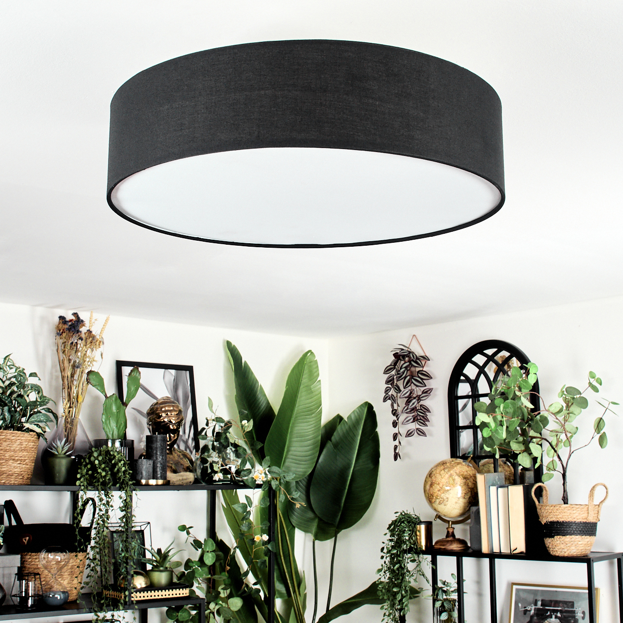 Eine dunkle Deckenlampe befindet sich über einem Regal mit Pflanzen, Dekorationsartikeln und einem schwarz gerahmten Bild. Der Raum ist hell.