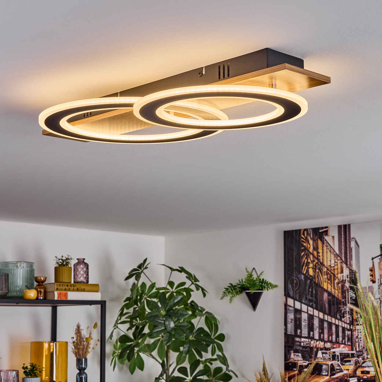 Deckenleuchte mit zwei Ringlichtern. Darunter eine Pflanze und ein Bücherregal mit Dekoration. Ein Stadtbild hängt an der Wand.