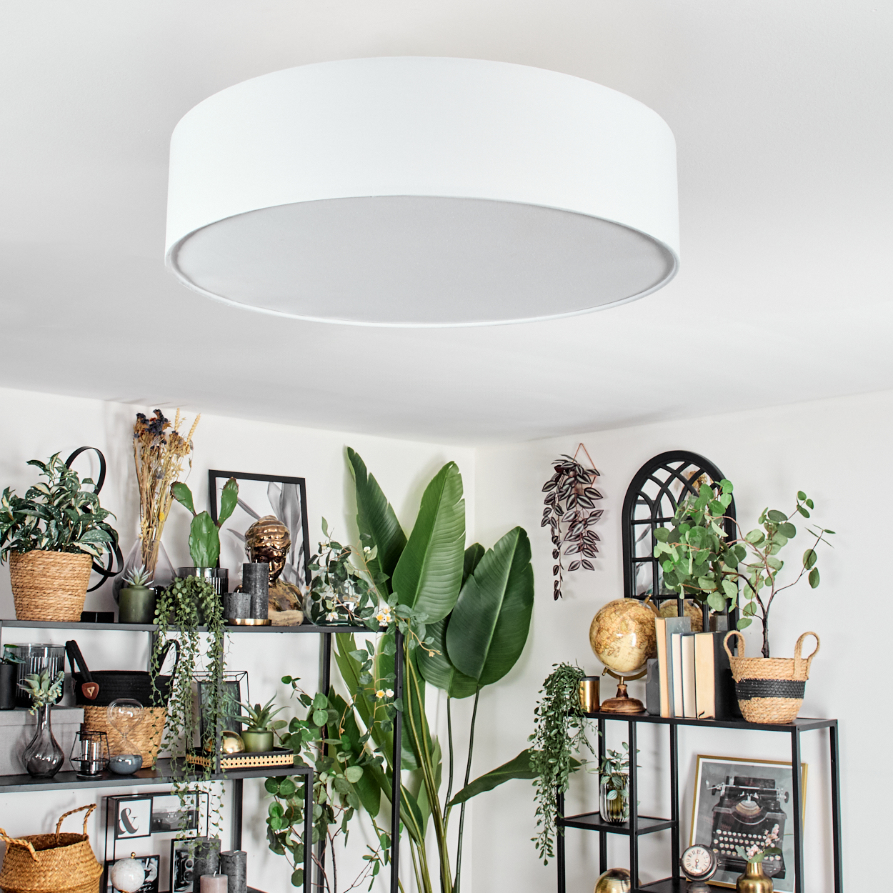 Eine weiße Deckenlampe hängt über Regalen mit Pflanzen, Dekor und einem Globus. Der Raum ist hell mit weißen Wänden.
