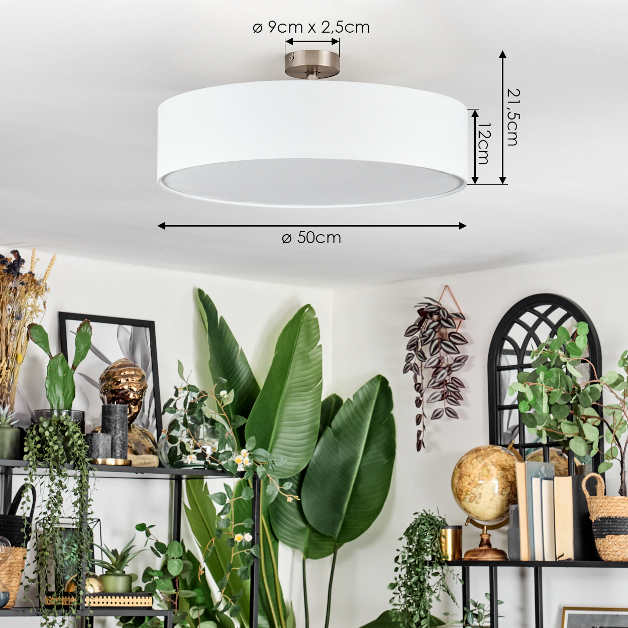 Eine weiße Deckenlampe befindet sich über verschiedenen Pflanzen auf Regalen. Ein Globus und Bücher sind ebenfalls auf den Regalen.