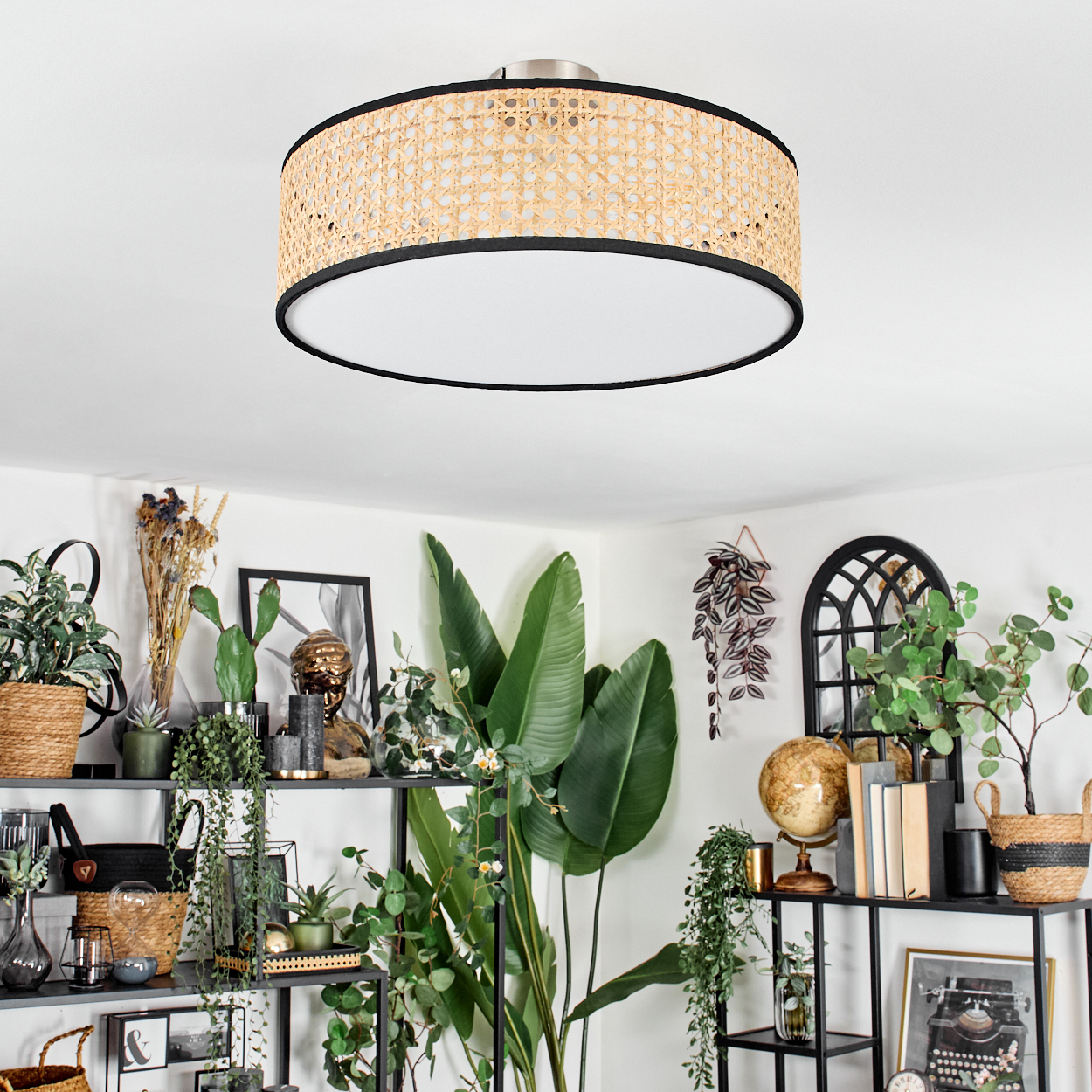 Ein Raum mit Deckenlampe und Regalen voller Pflanzen, Dekorationen und einem Globus. Die Lampe hat einen gewebten Schirm.