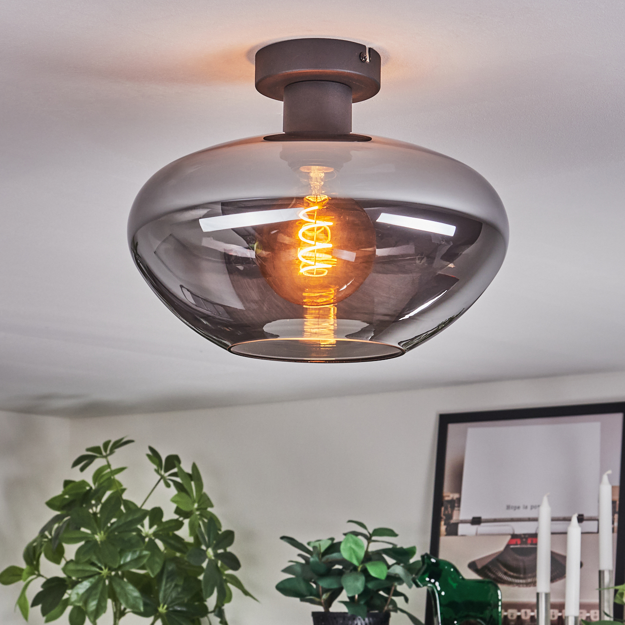 Eine moderne Deckenleuchte mit Rauchglasschirm. Eine Edison-Glühbirne leuchtet. Grüne Pflanzen und ein gerahmtes Bild sind im Hintergrund.