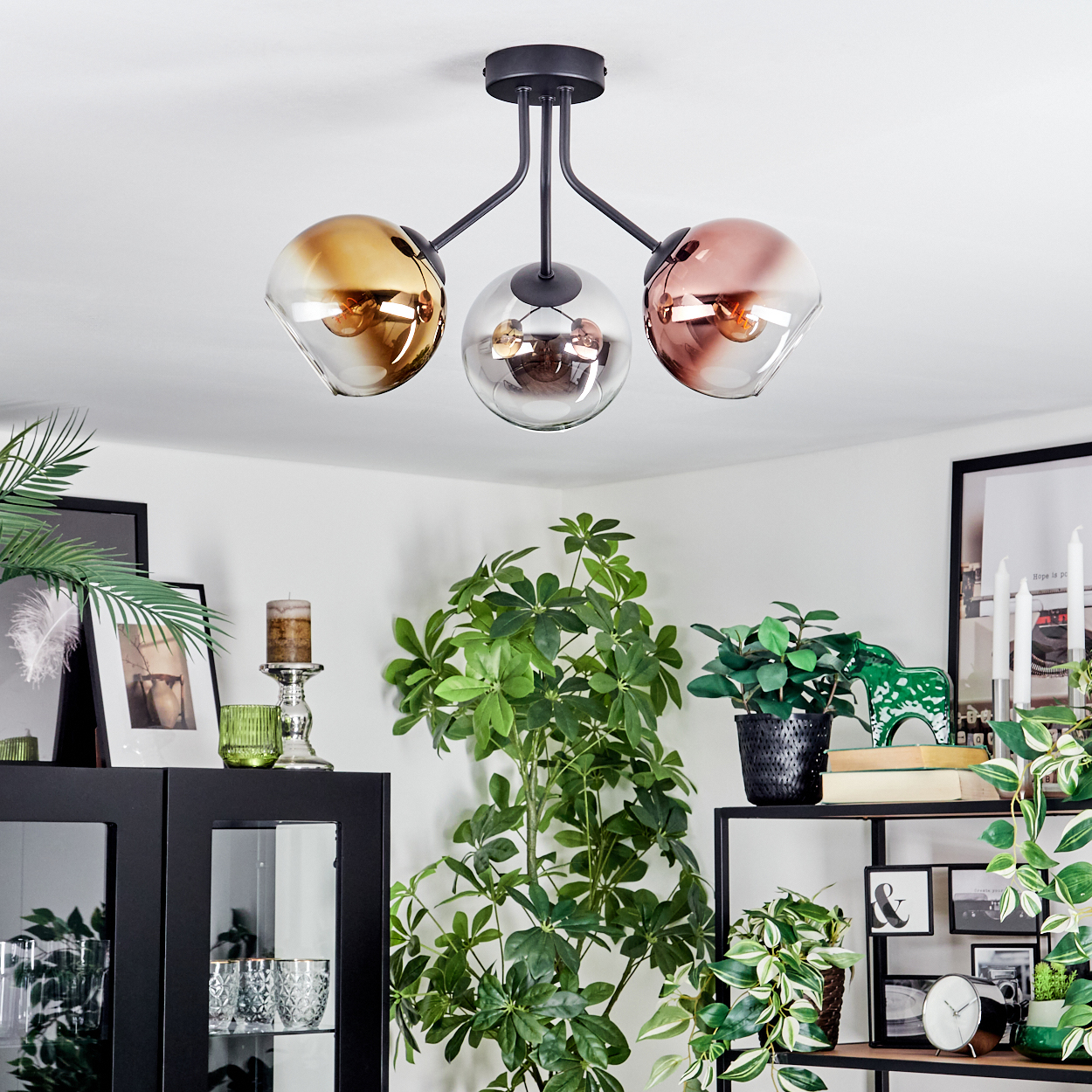 Eine moderne Deckenlampe mit drei Glaskugeln. Verschiedene Pflanzen und Dekorationsartikel sind auf Regalen und Schränken im Raum angeordnet.