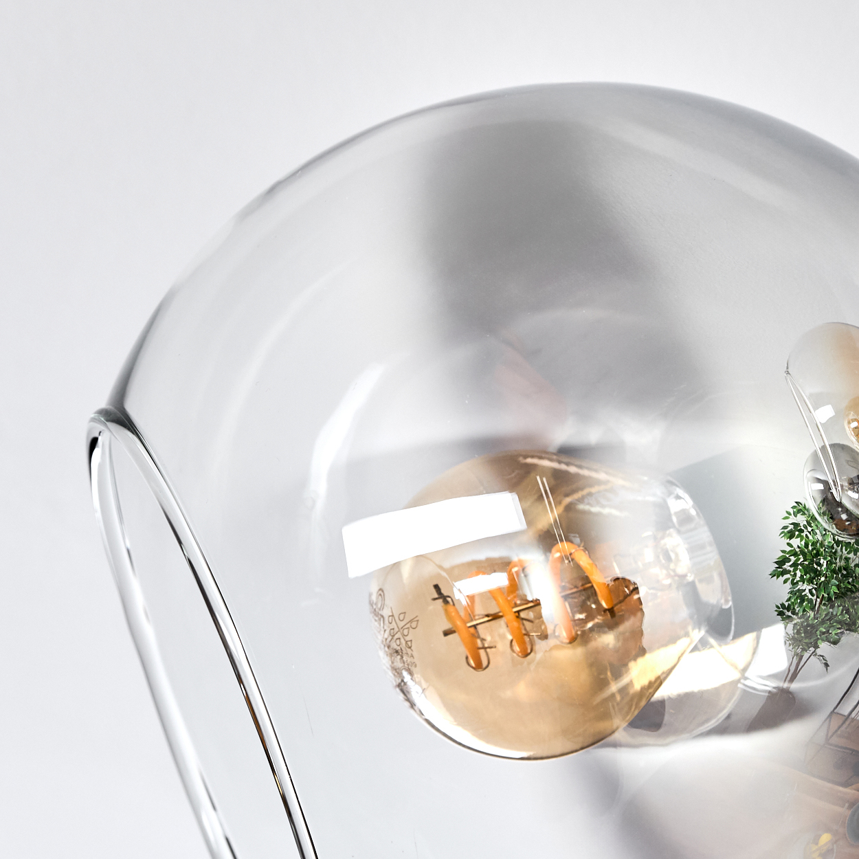 Nahaufnahme eines Glasschirms mit Glühbirne. Eine kleine Pflanze ist sichtbar. Der Hintergrund ist weiß.