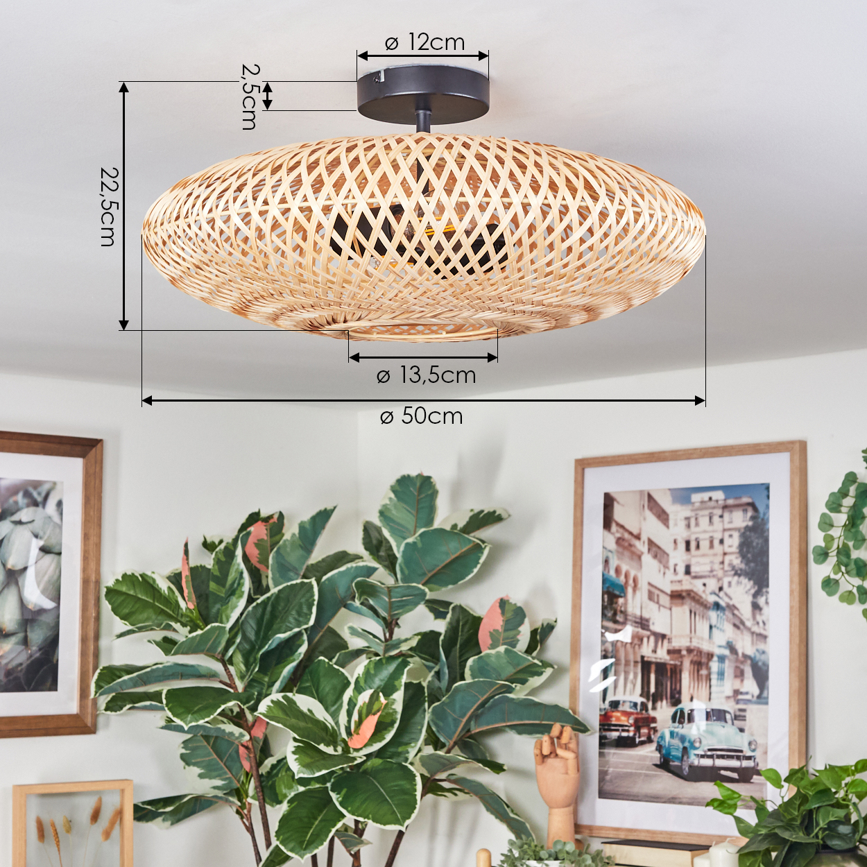 Eine gewebte Deckenlampe aus Rattan. Eine Pflanze mit grünen und rosa Blättern und gerahmte Bilder befinden sich darunter. Maße sind angegeben.