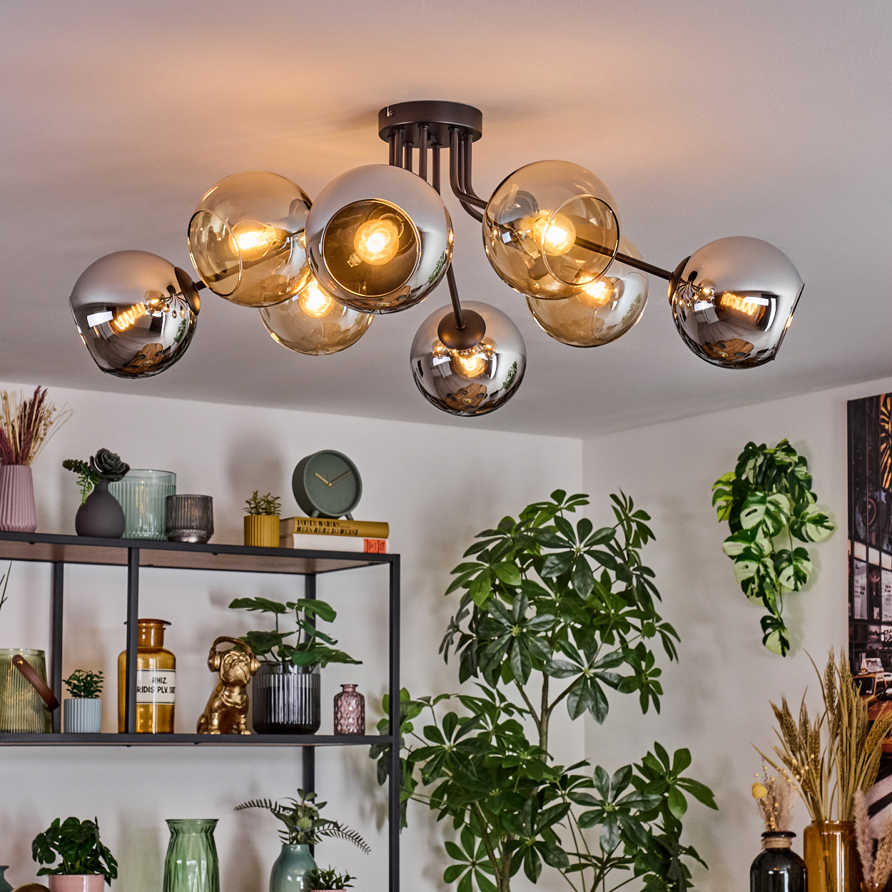 Eine moderne Deckenlampe mit mehreren kugelförmigen Lichtern hängt über Pflanzen und dekorativen Gegenständen auf Regalen. Rechts befindet sich eine grüne Pflanze.