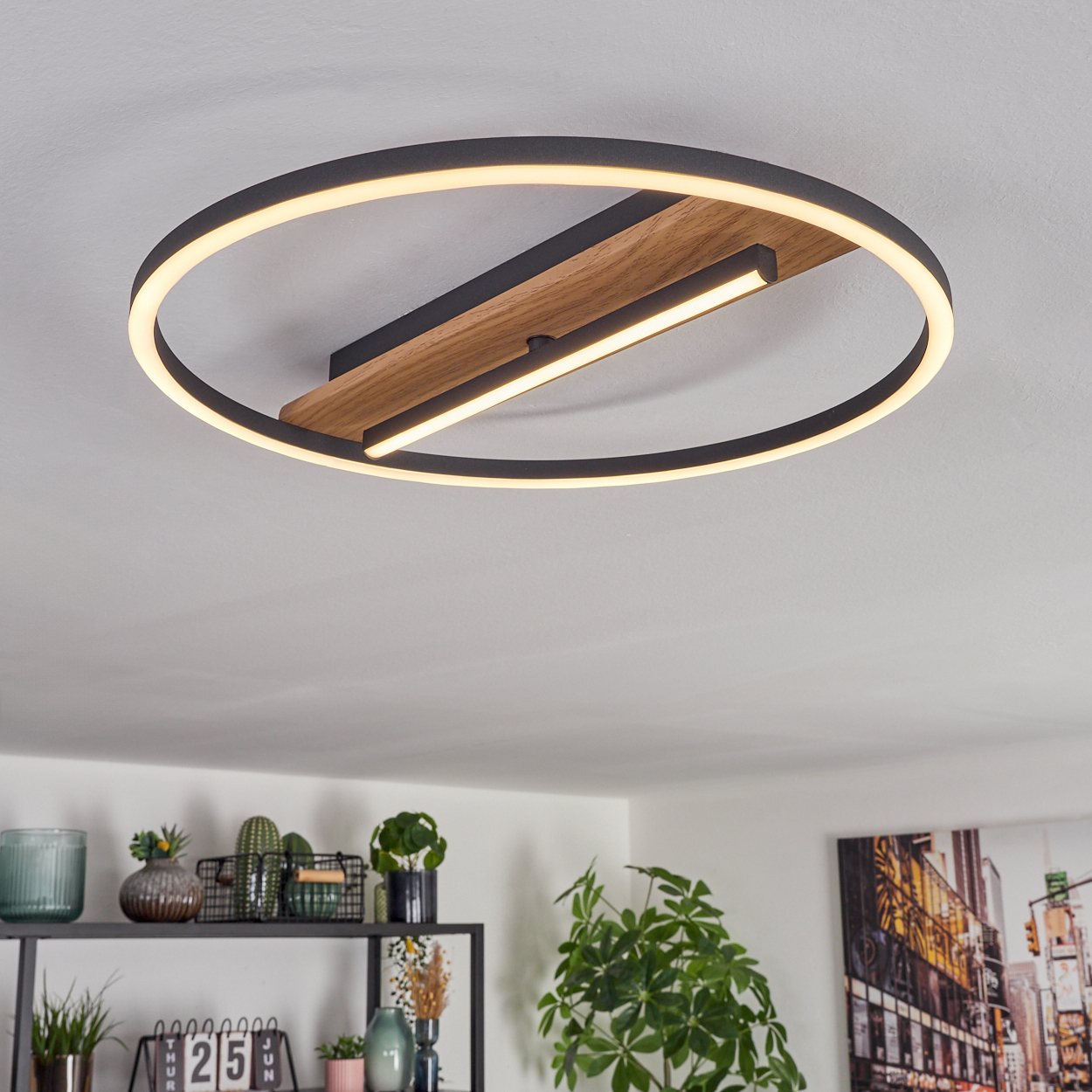 Eine moderne Deckenleuchte mit schwarzem Ring und Holzakzent. Darunter Regale mit Pflanzen und Dekorationen.