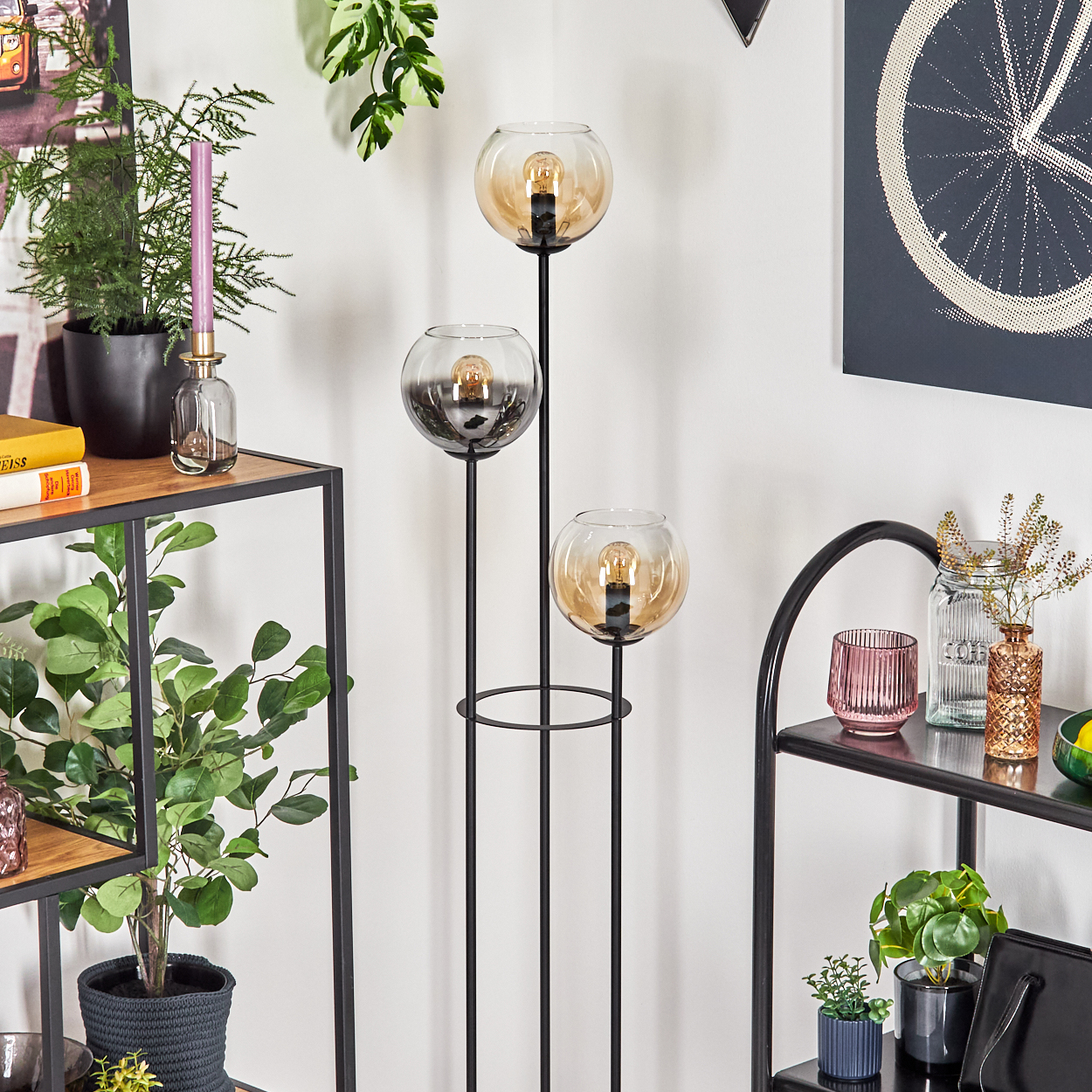 Ein dekorativer Raum mit einer schwarzen Metalllampe mit drei Glaskugeln. Regale mit Pflanzen und Dekor befinden sich an den Seiten.