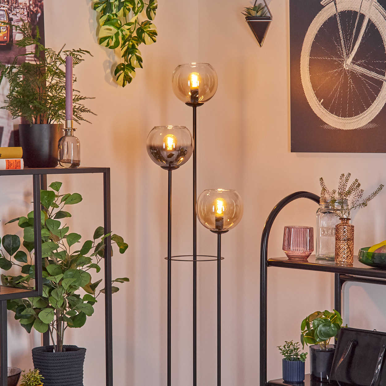 Eine Zimmerecke mit einem schwarzen Metallregal mit Pflanzen und einer Lampe mit drei Glühbirnen. Ein Fahrradrad-Kunstwerk hängt an der Wand.
