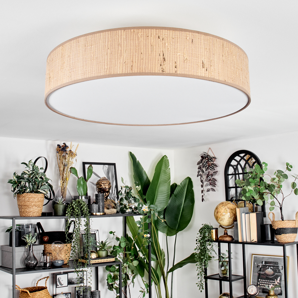 Ein Raum mit einer großen Deckenleuchte, Regalen mit Pflanzen, Bildern und Dekorationen, wodurch ein gemütliches Interieur entsteht.