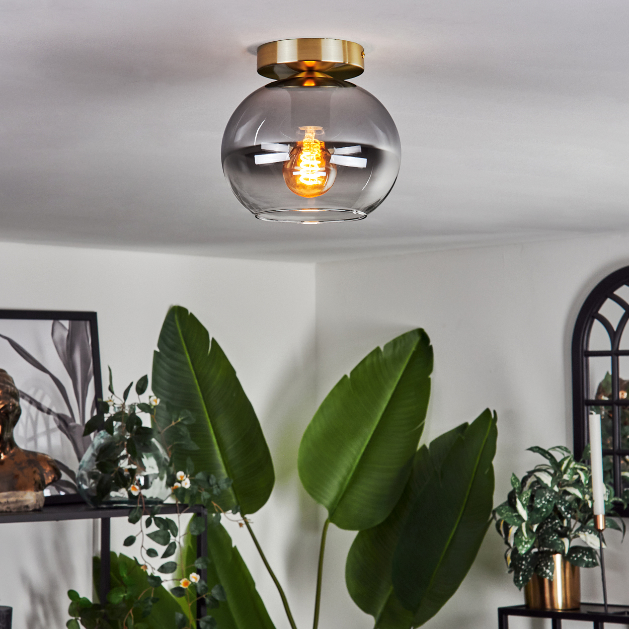 Eine moderne Deckenleuchte mit Glaskugel und goldenem Sockel. Darunter befinden sich große grüne Blätter und Pflanzen in einem Raum mit weißen Wänden.