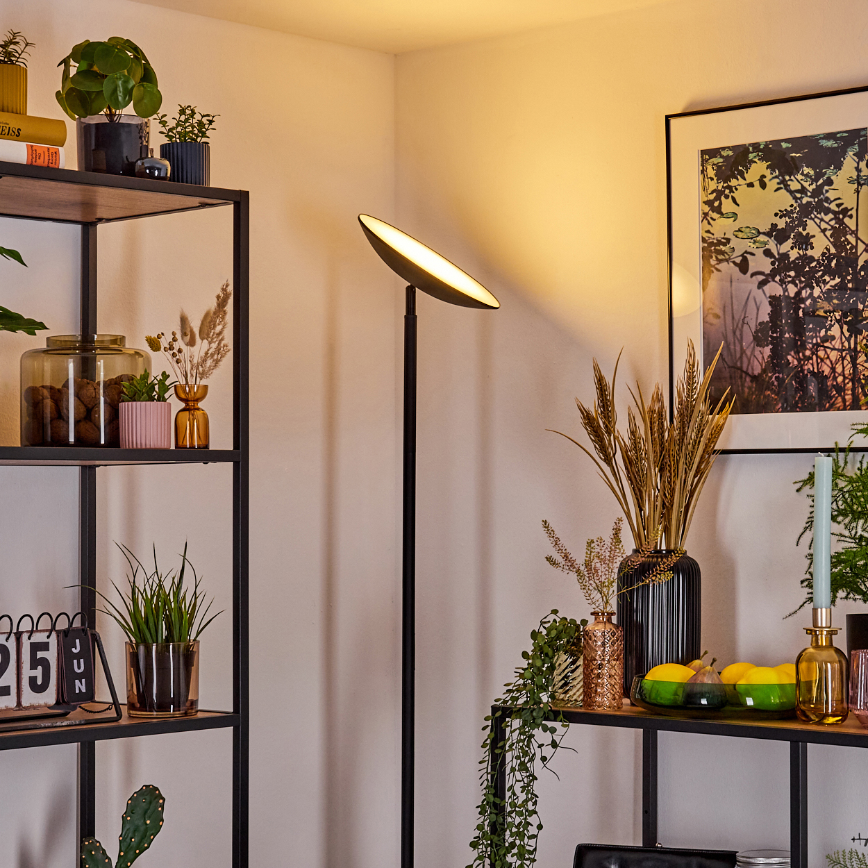 Ein modernes Wohnzimmer mit schwarzer Stehlampe, Regalen mit Pflanzen und einem Bild an der Wand.