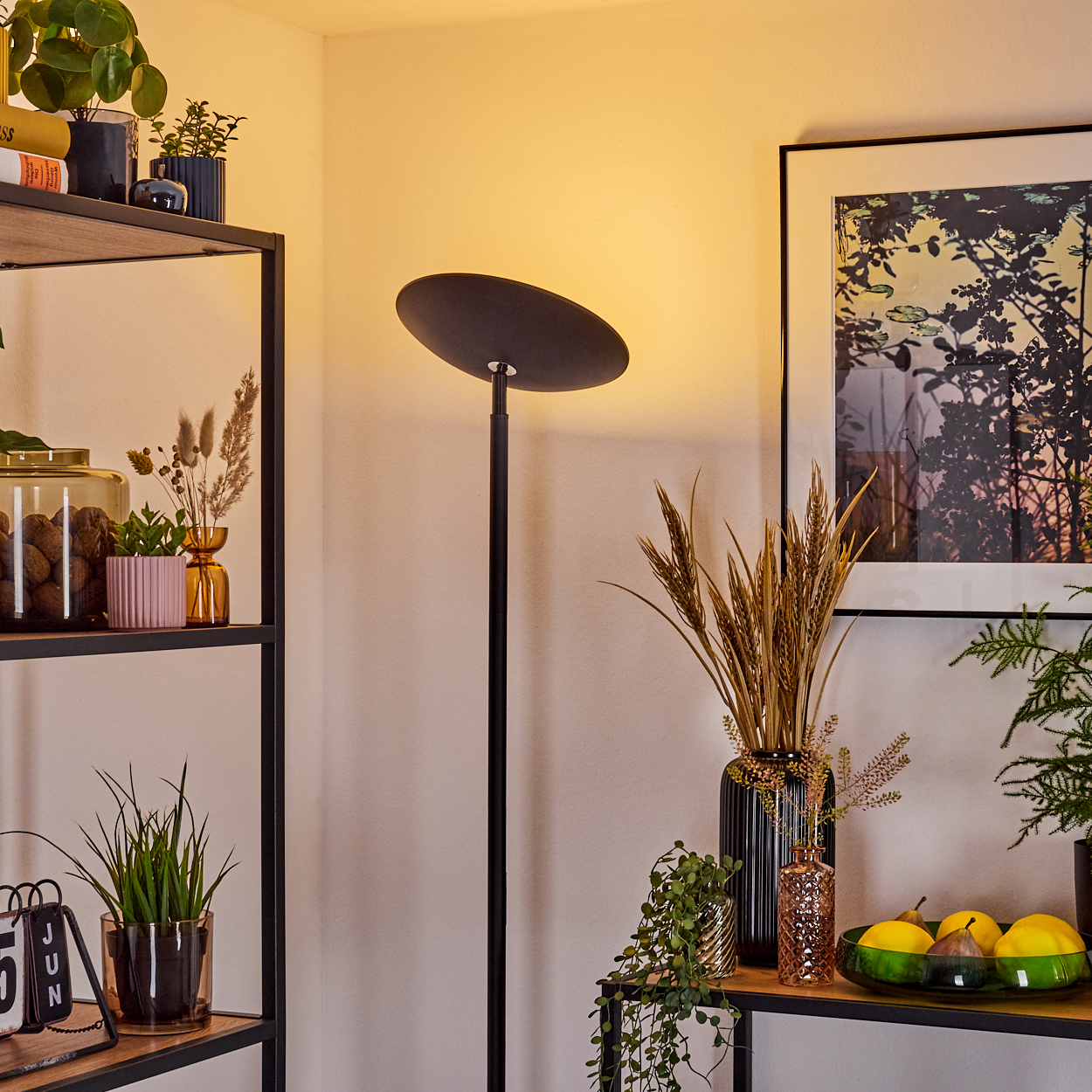 Raumecke mit schwarzer Lampe, Regalen mit Pflanzen und Deko sowie einem gerahmten Bild an der Wand.