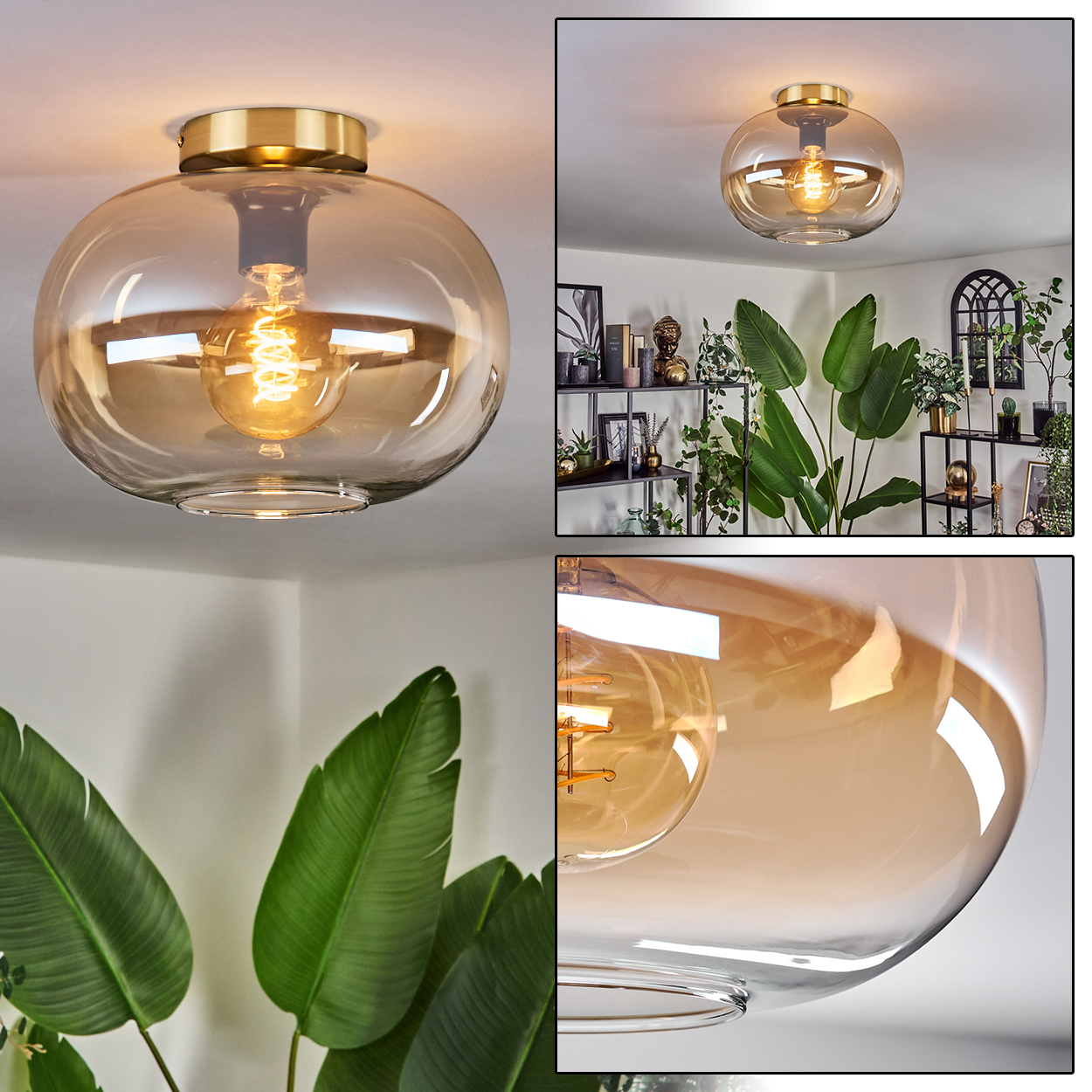 Moderne Deckenlampe mit goldfarbenem Sockel und transparentem, bernsteinfarbenem Glasschirm. Die Glühbirne ist sichtbar. Pflanzen und Regale im Hintergrund.